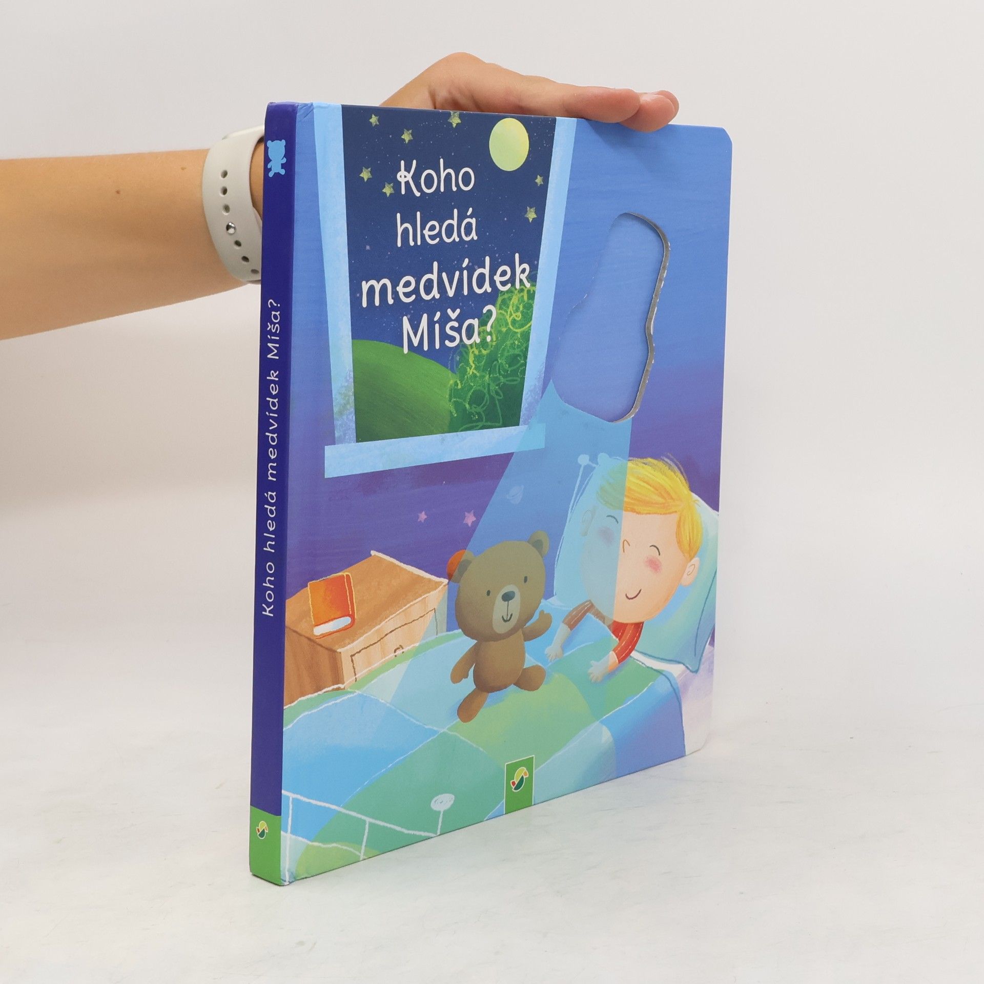 kolektiv Koho hledá medvídek Míša?