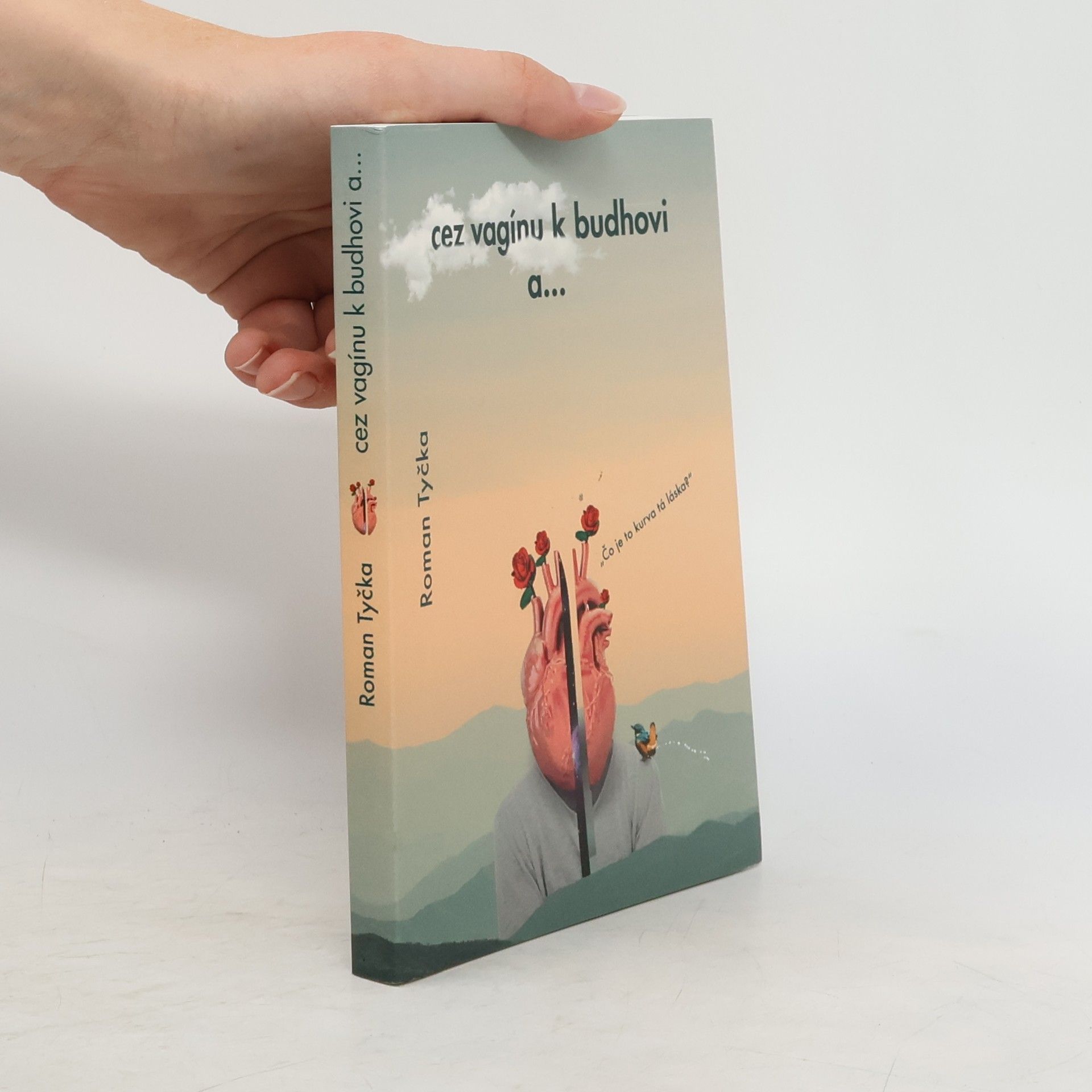 Roman Tyčka Cez vagínu k budhovi a...