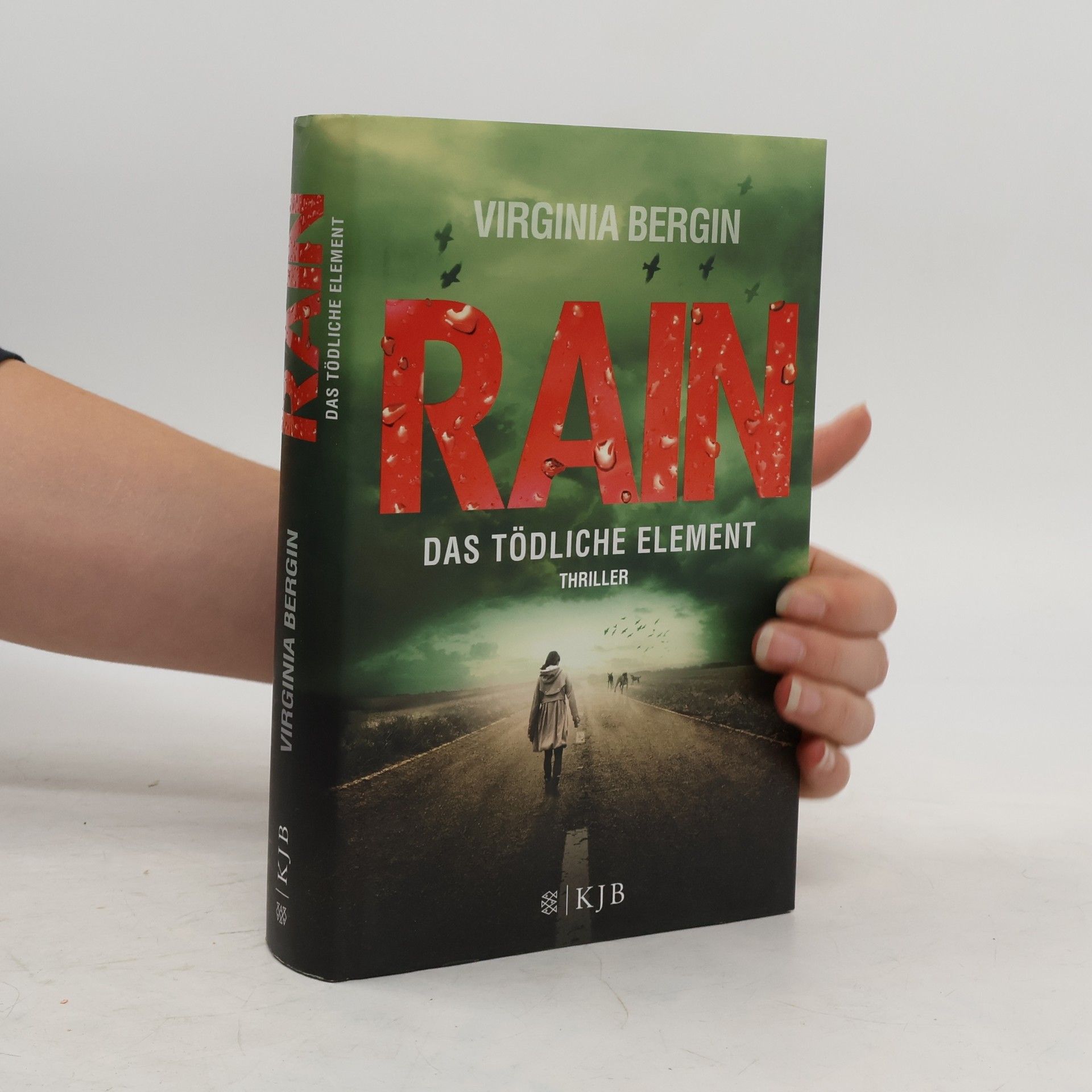 Virginia Bergin Rain - das tödliche Element