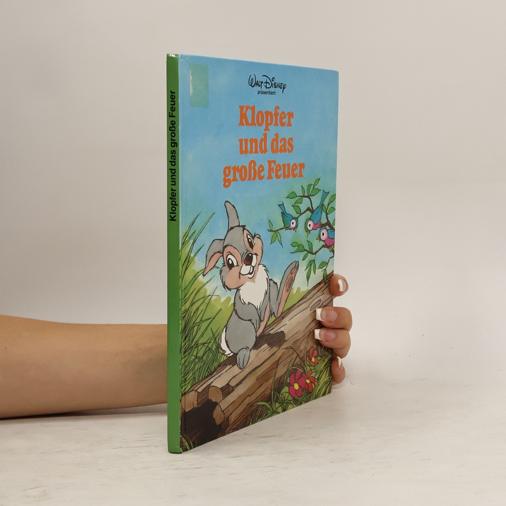 Walt Disney Klopfer und das grosse Feur