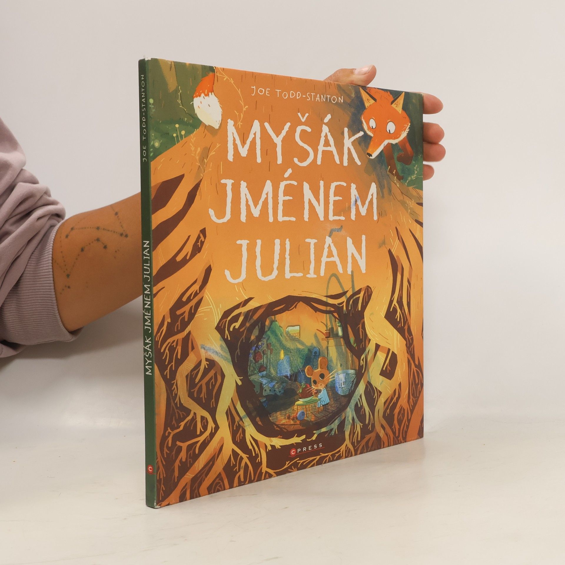 Joe Todd-Stanton Myšák jménem Julian
