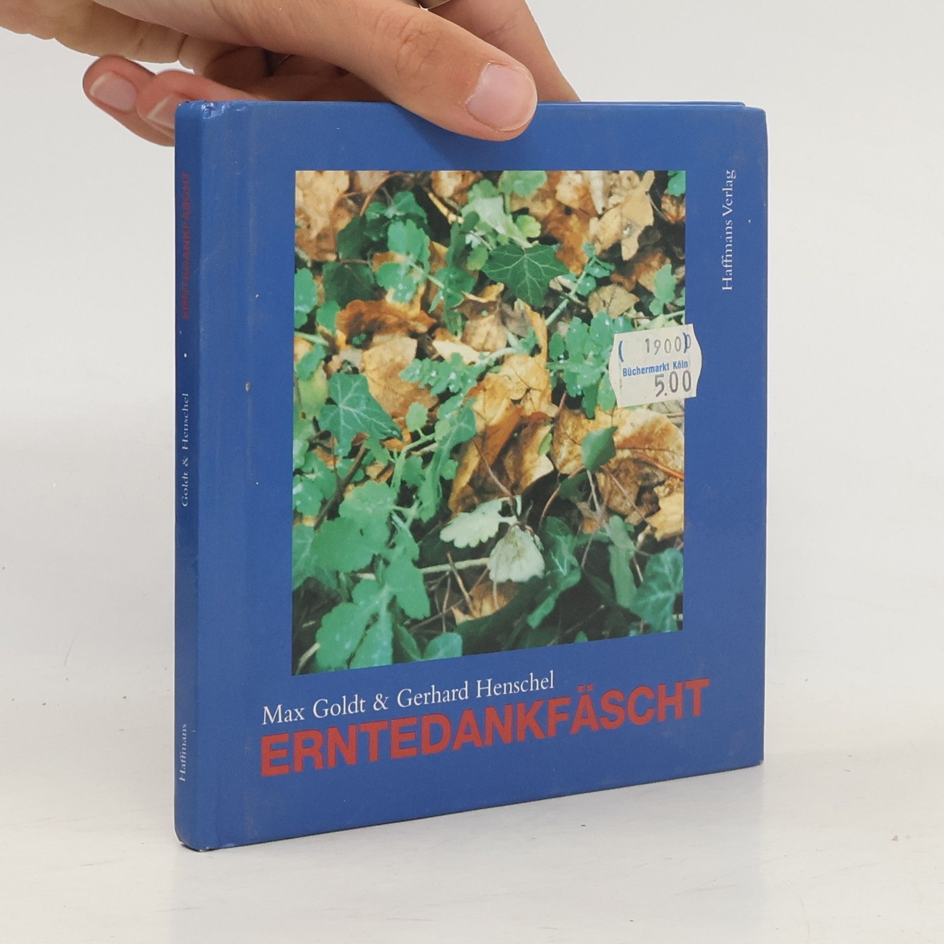 Max Goldt Erntedankfäscht. 40 Gedichte und Fotografien.