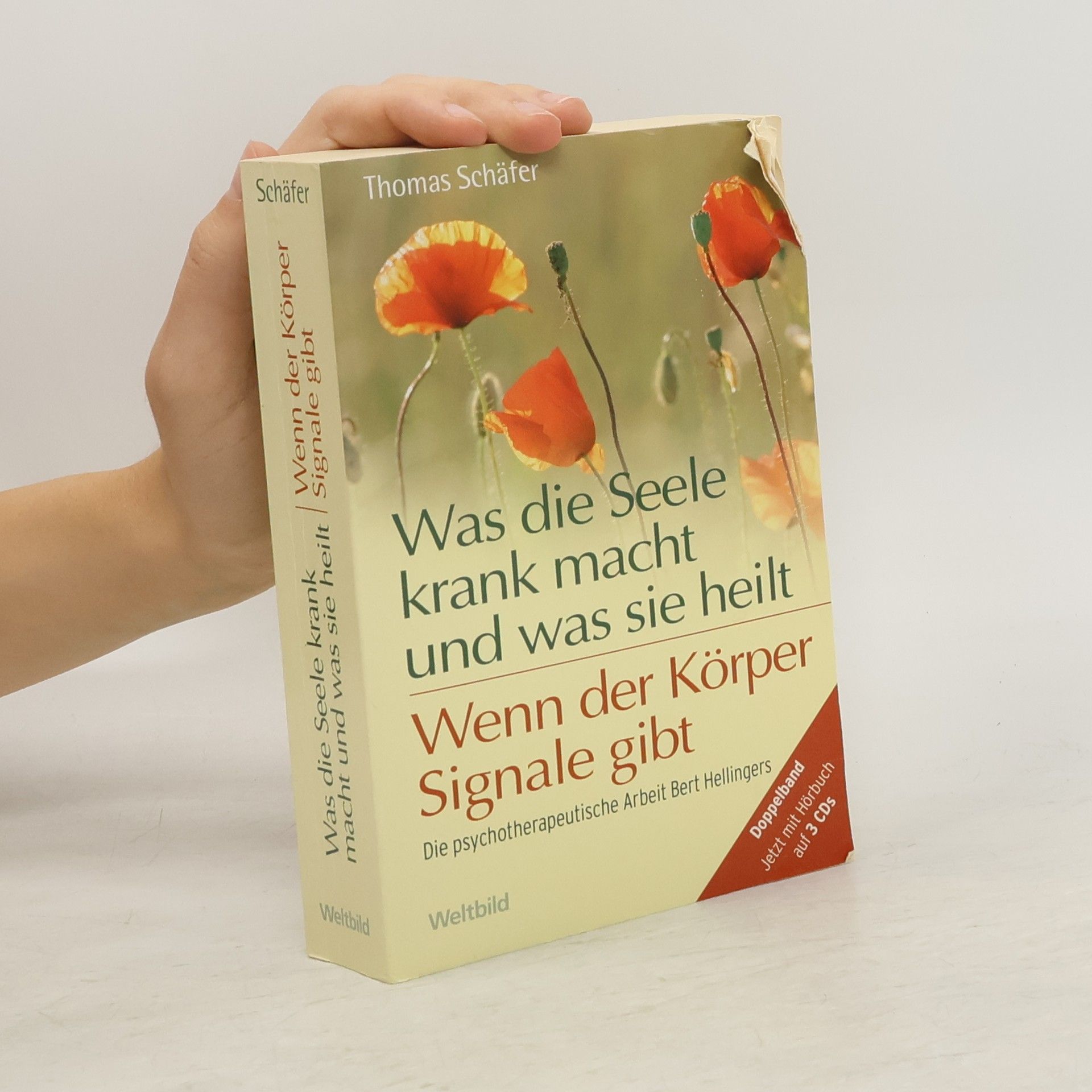 Autorenkollektiv Was die Seele krank macht und was sie heilt
