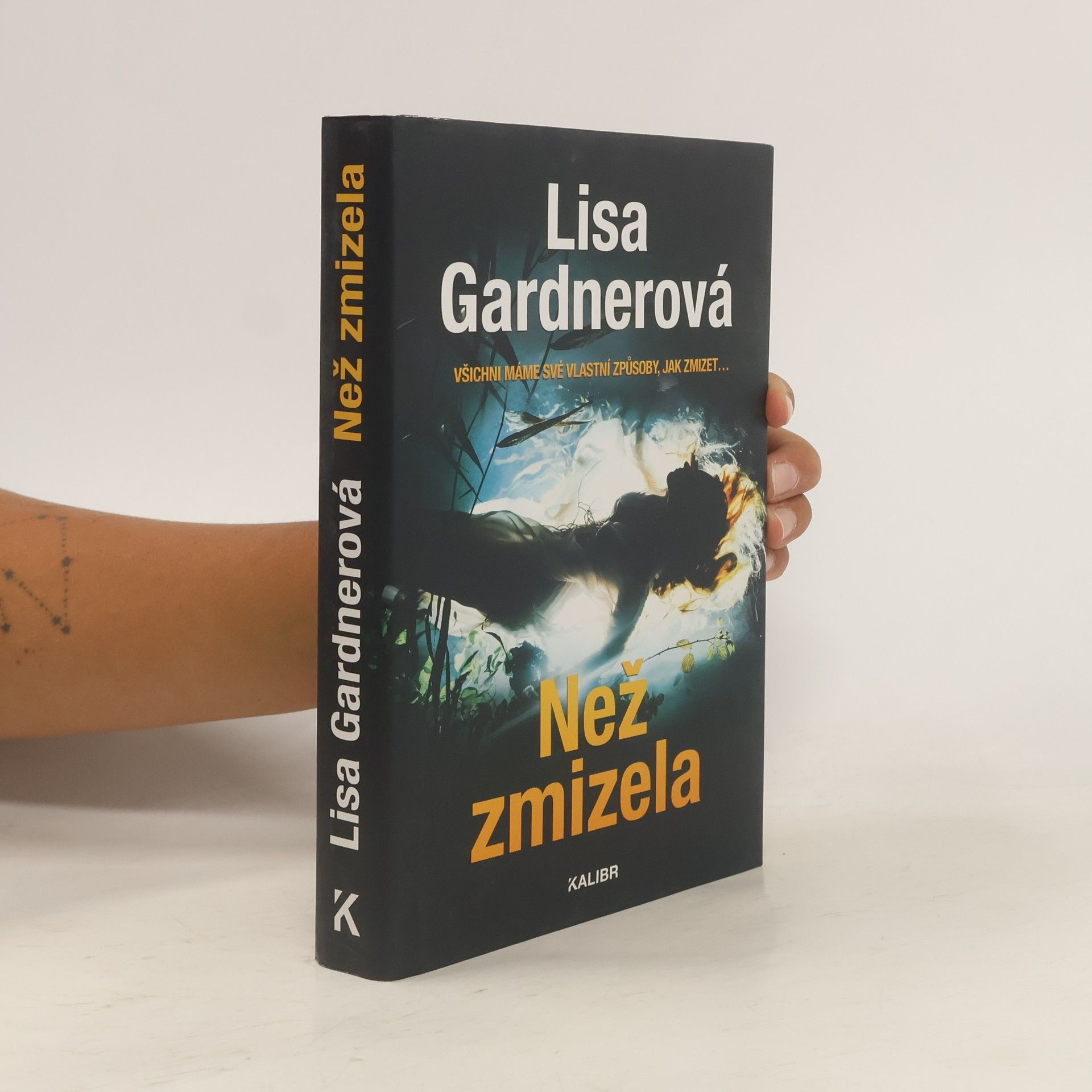 Irena Steinerová Než zmizela