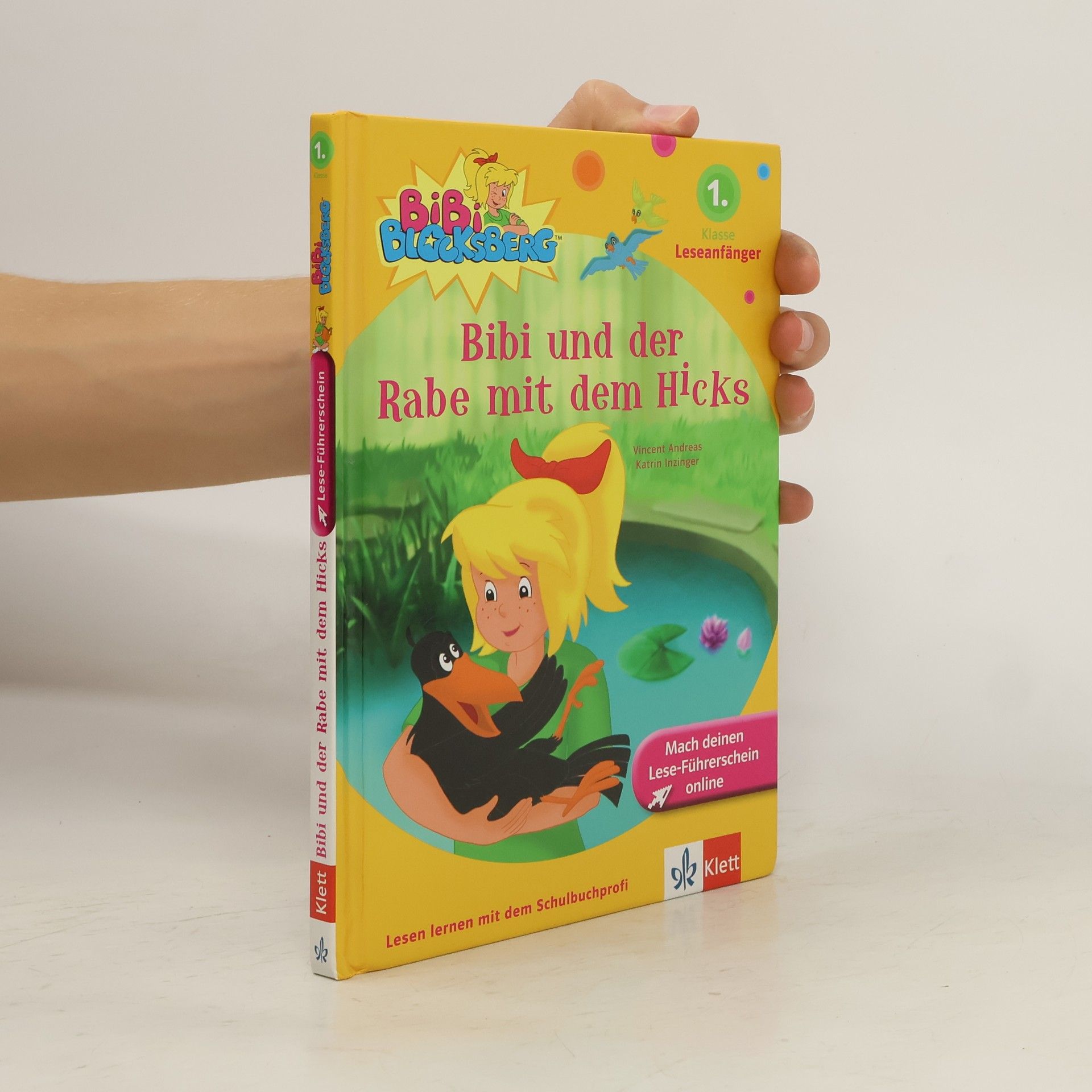 Vincent Andreas Bibi und der Rabe mit dem Hicks