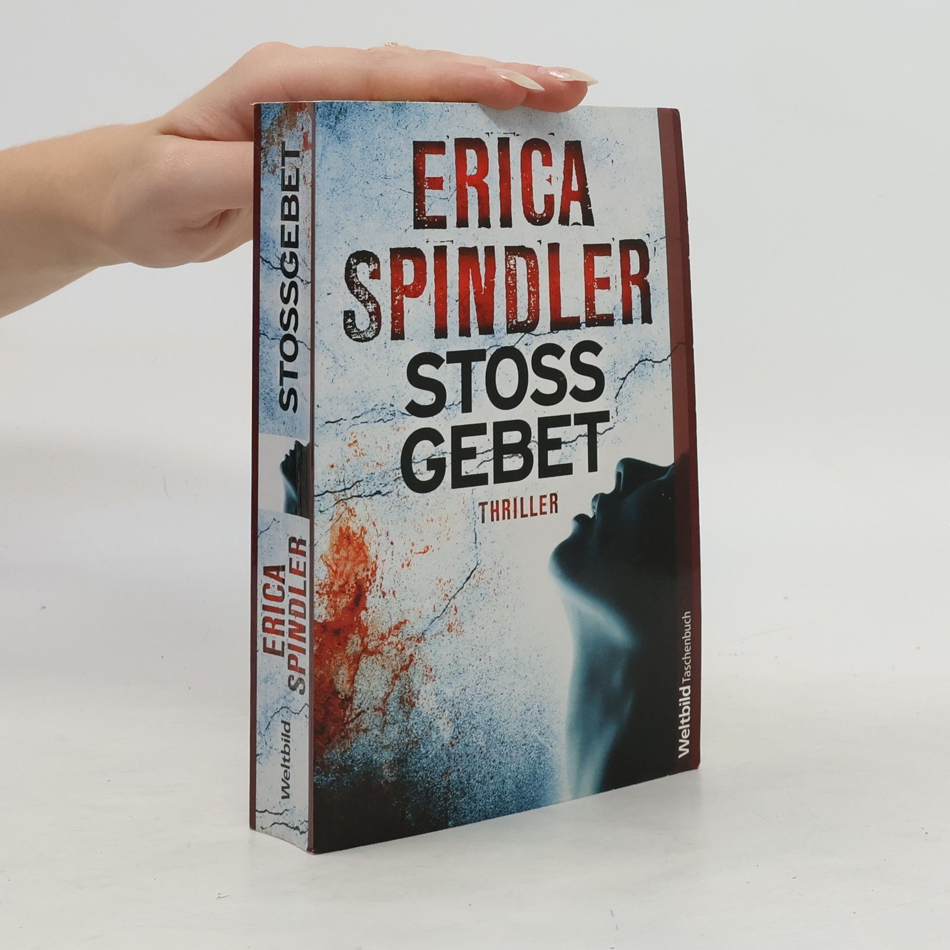 Erica Spindler Stossgebet