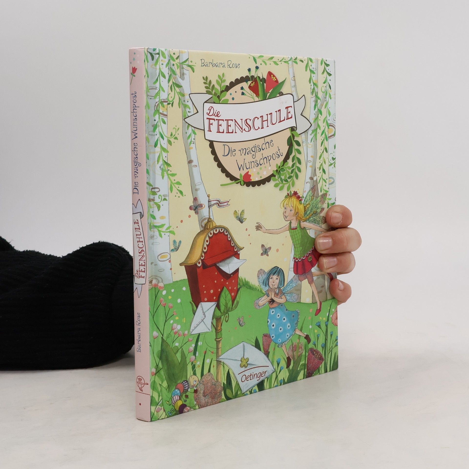 Barbara Rose Die Feenschule. Die magische Wunschpost