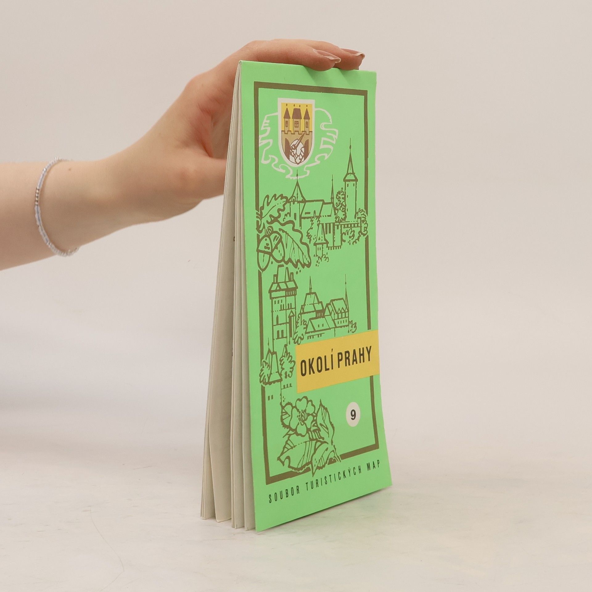 Kolektív autorov Okolí Prahy. Soubor turistických map