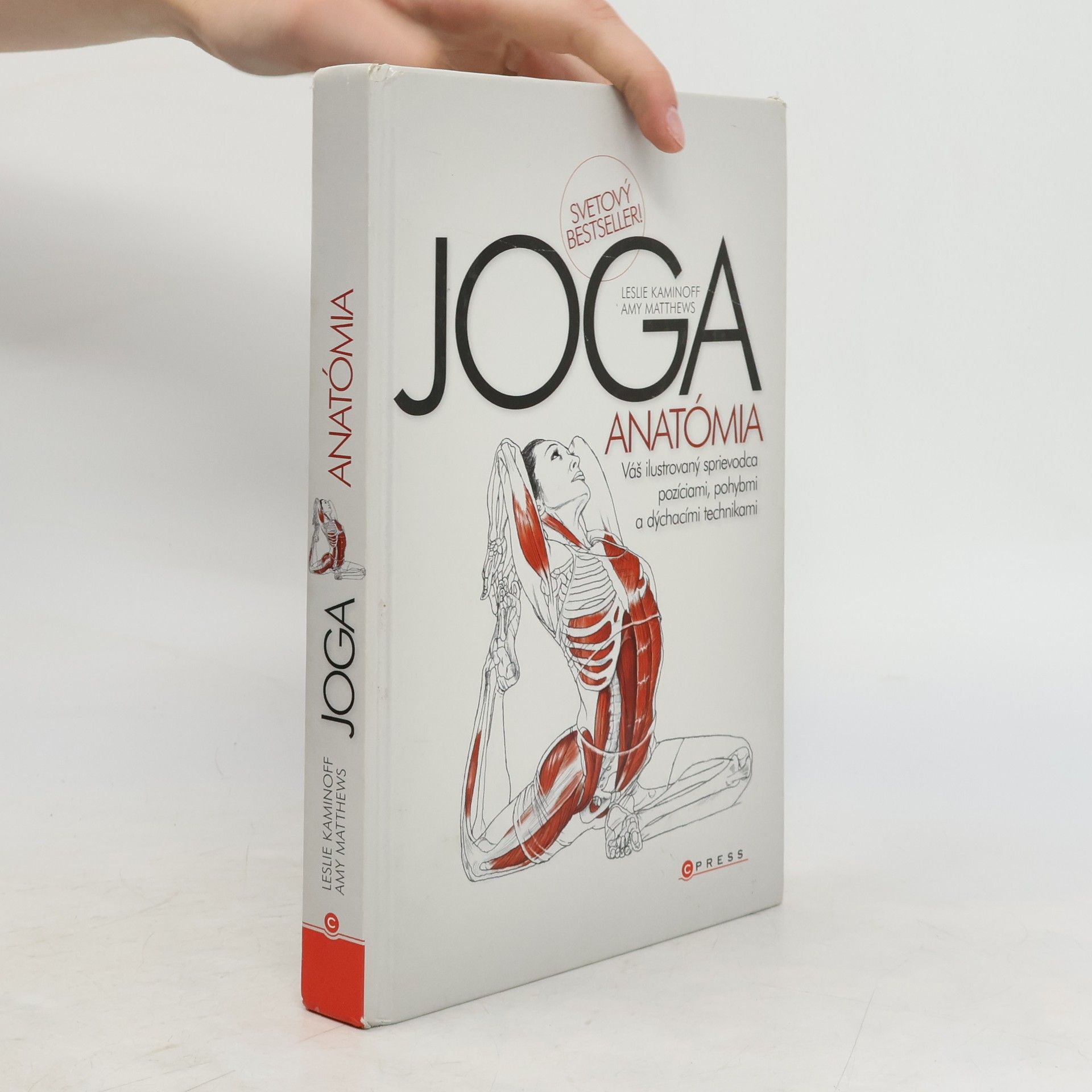 Collective Joga. Anatómia