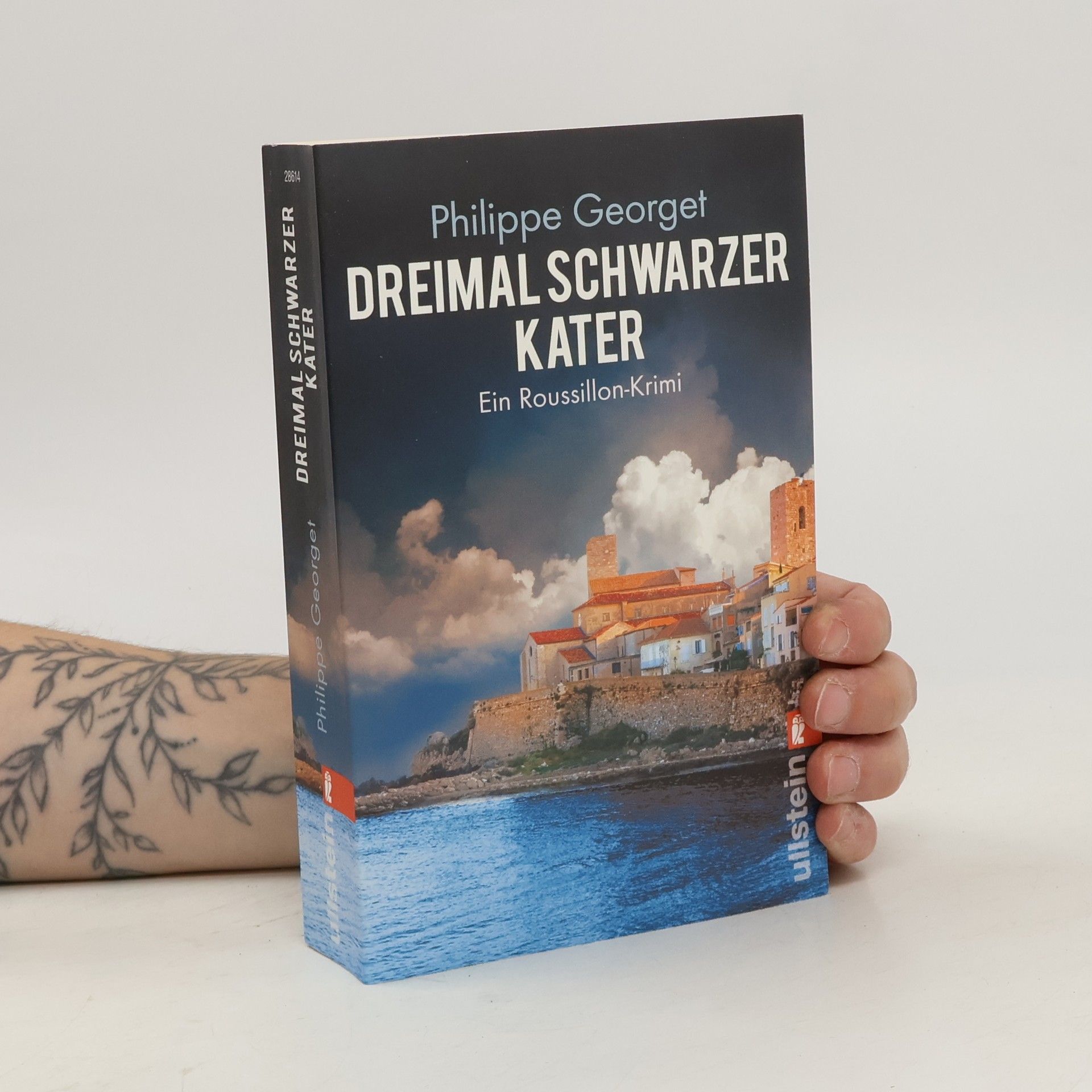 Philippe Georget Dreimal schwarzer Kater