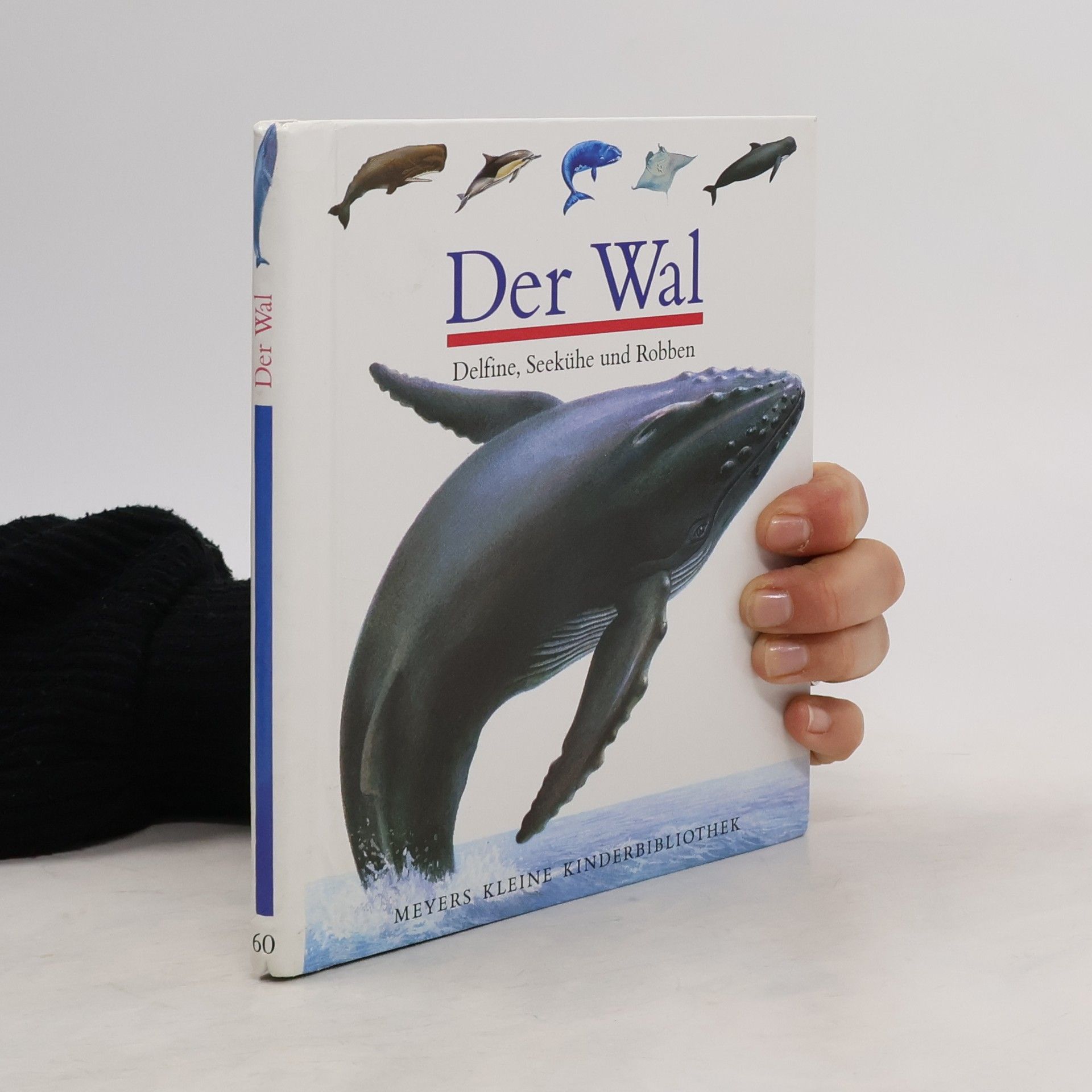 Ute Fuhr Der Wal