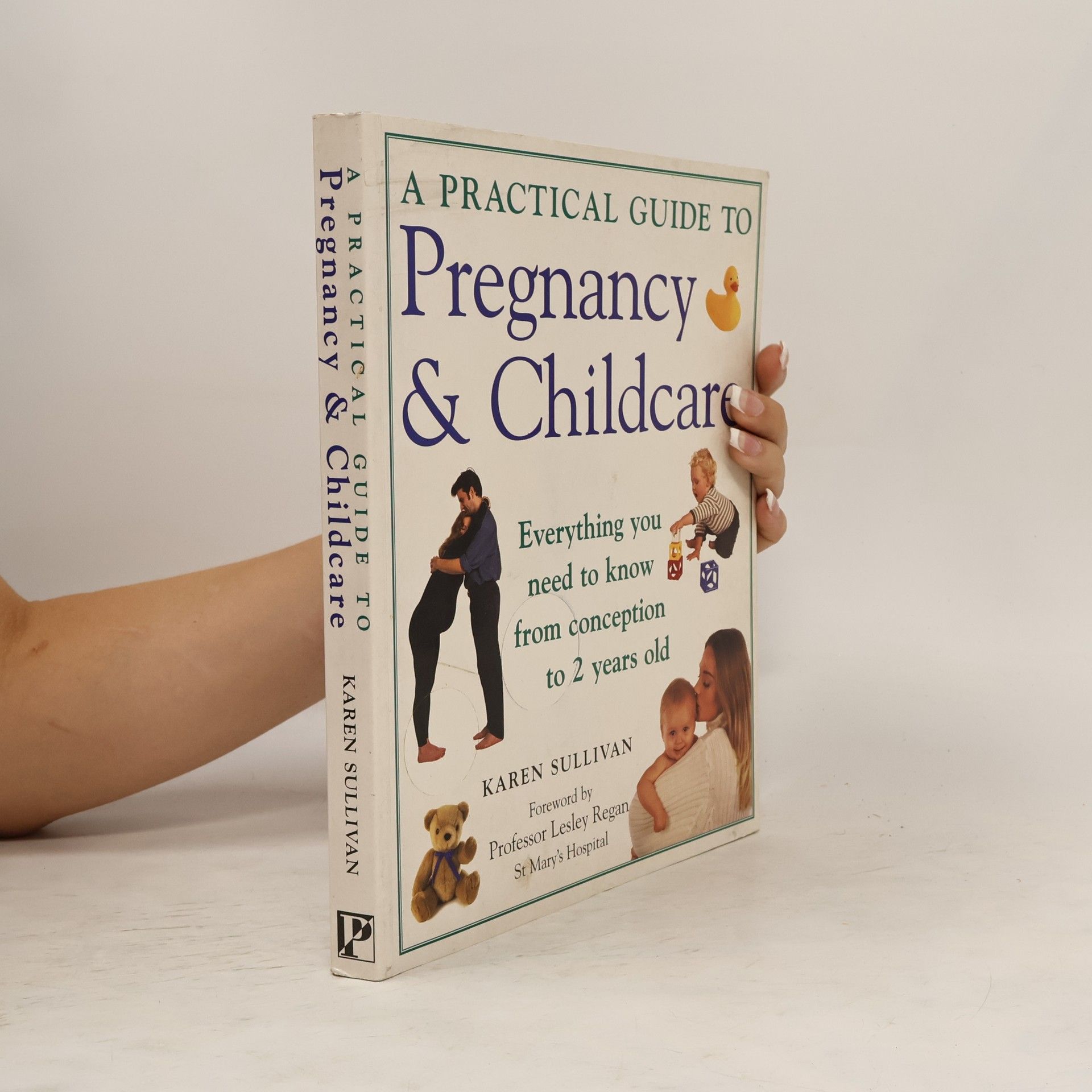 Karen Sullivan A Practical Guide to Pregnancy and Childcare