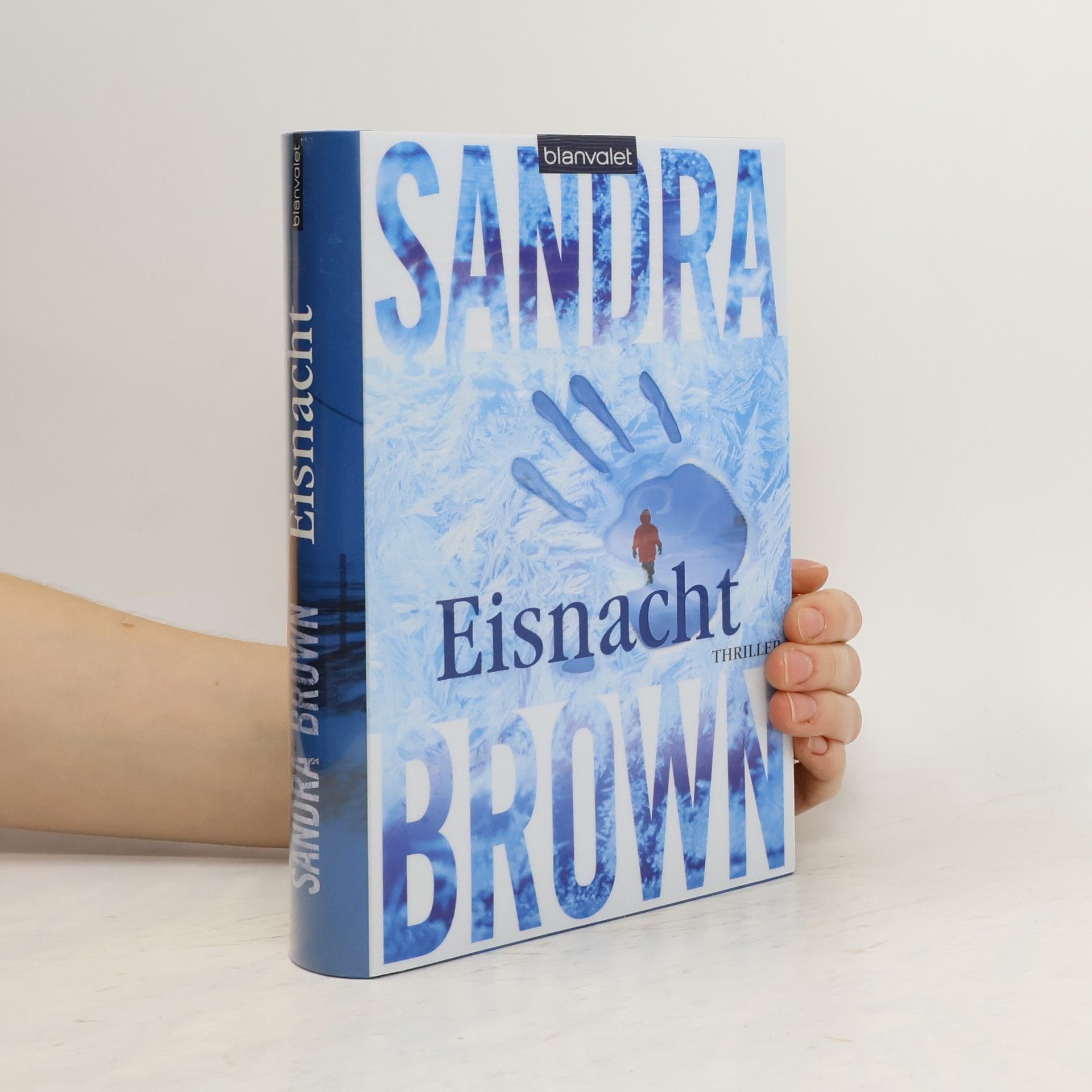 Sandra Brown Eisnacht