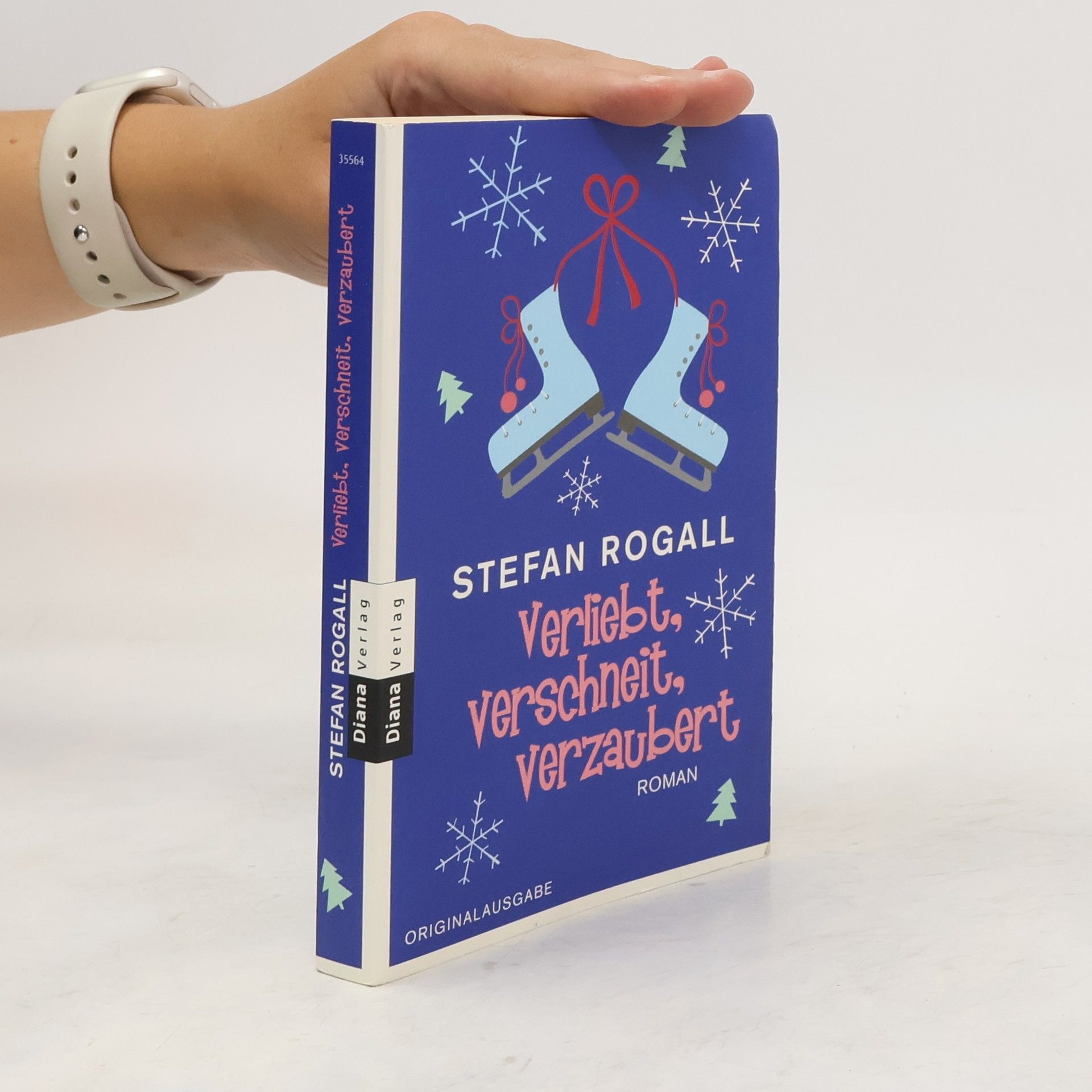 Stefan Rogall Verliebt, verschneit, verzaubert. Roman