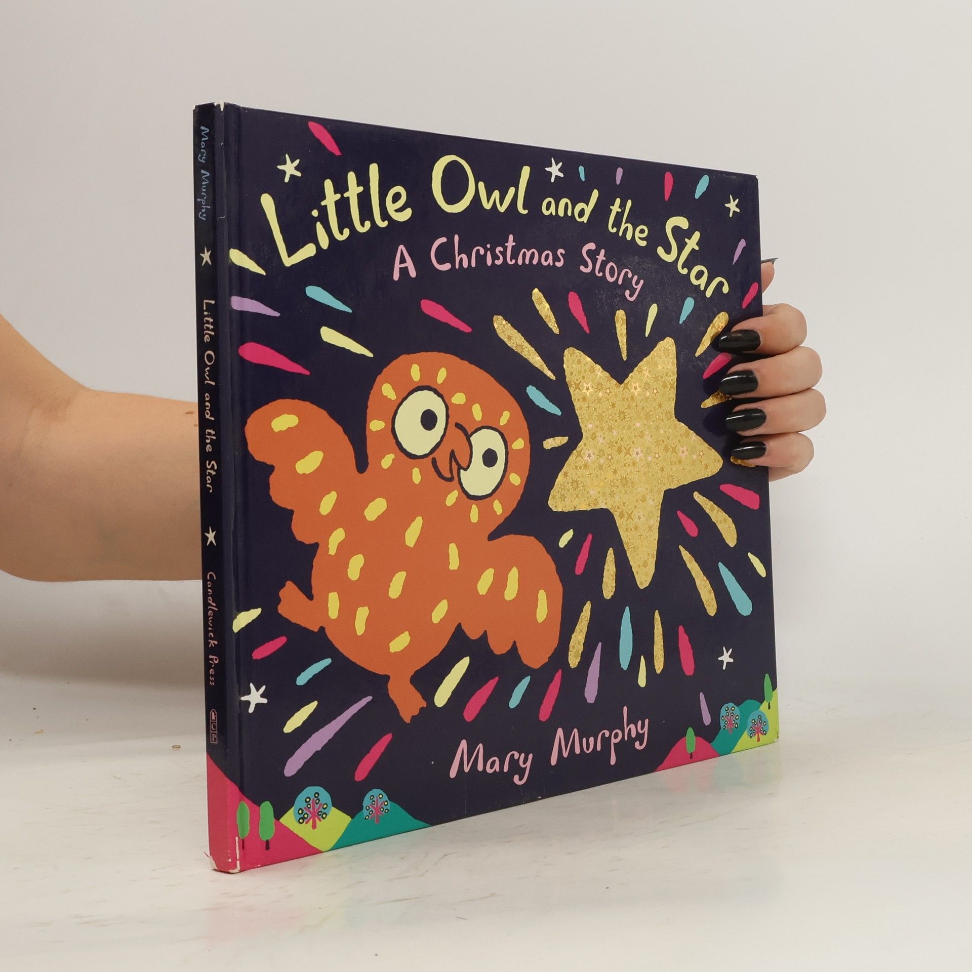 Mary Murphy Little Owl and the Star