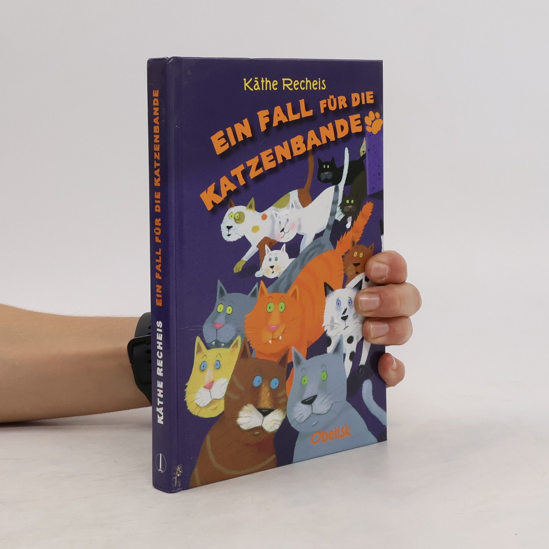 Käthe Recheis Ein Fall für die Katzenbande