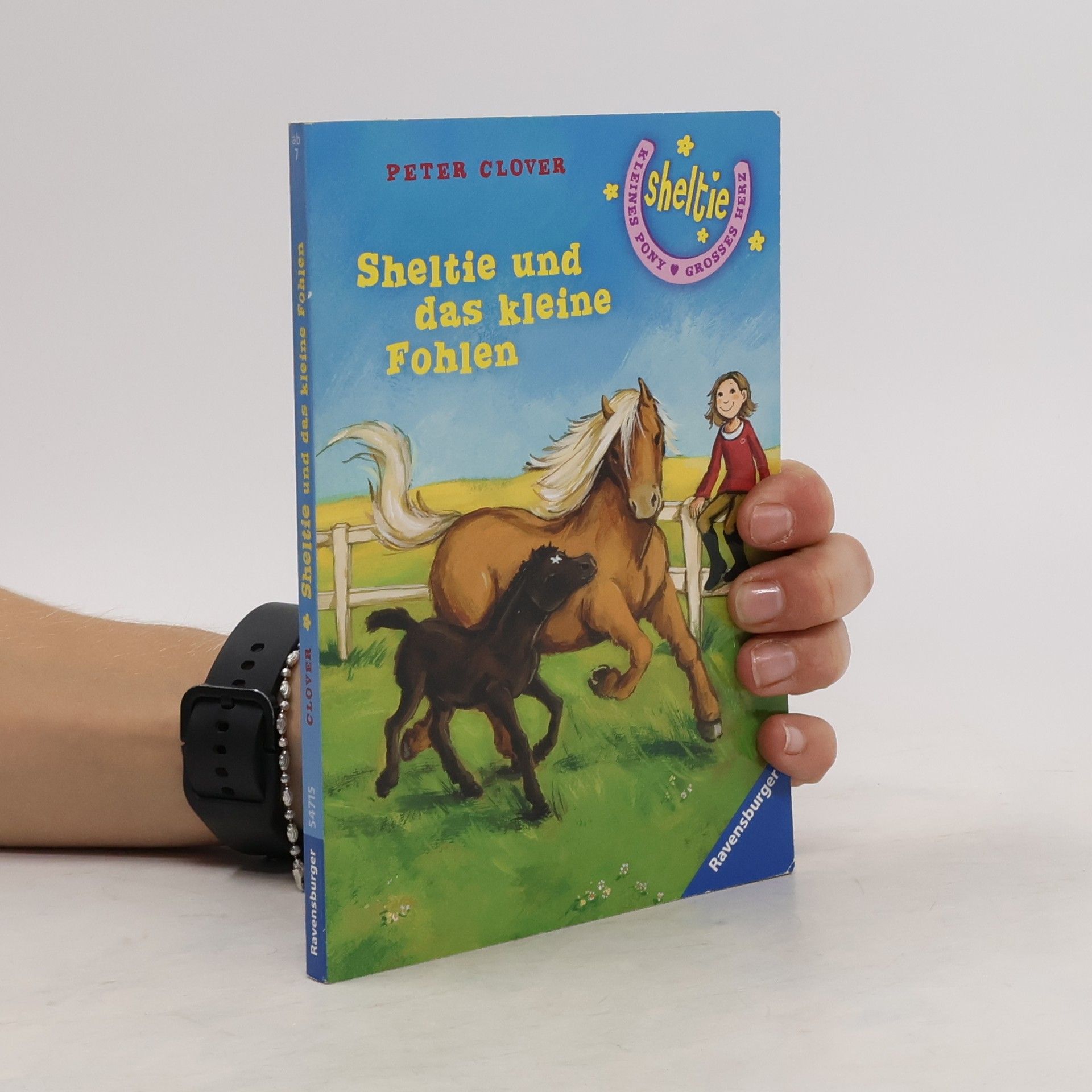 Peter Clover Sheltie und das kleine Fohlen