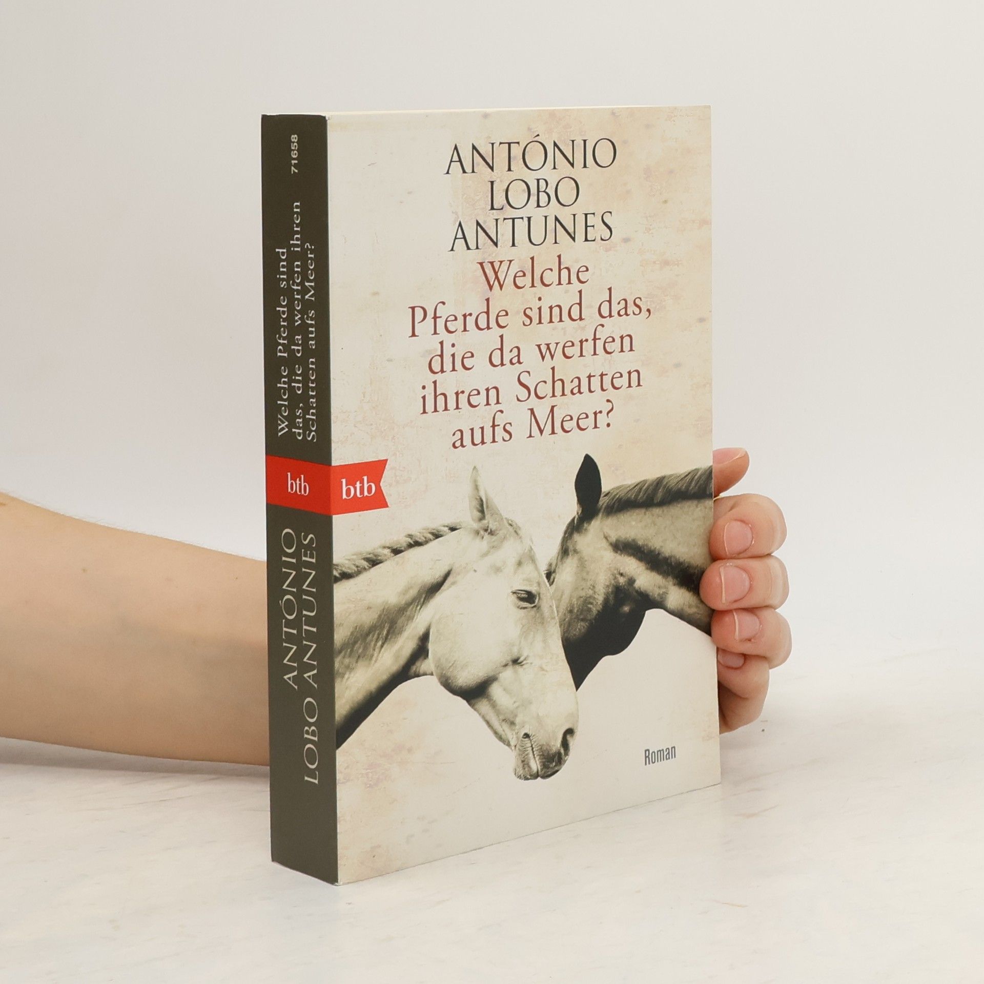 António Lobo Antunes Welche Pferde sind das, die da werfen ihren Schatten aufs Meer?