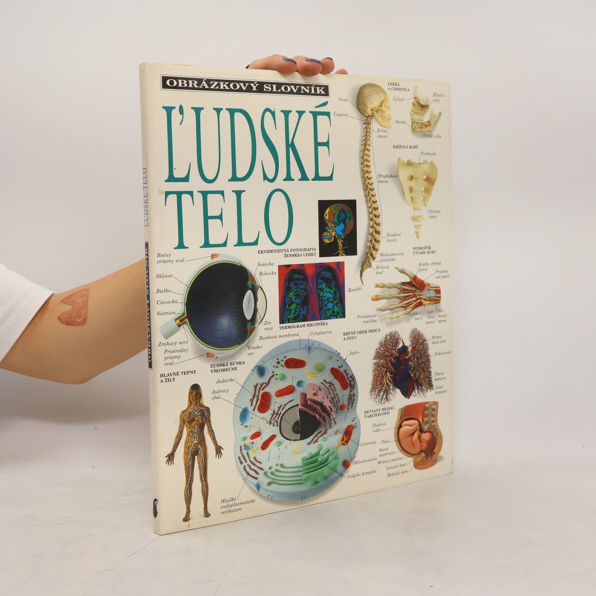 Autorenkollektiv Ľudské telo
