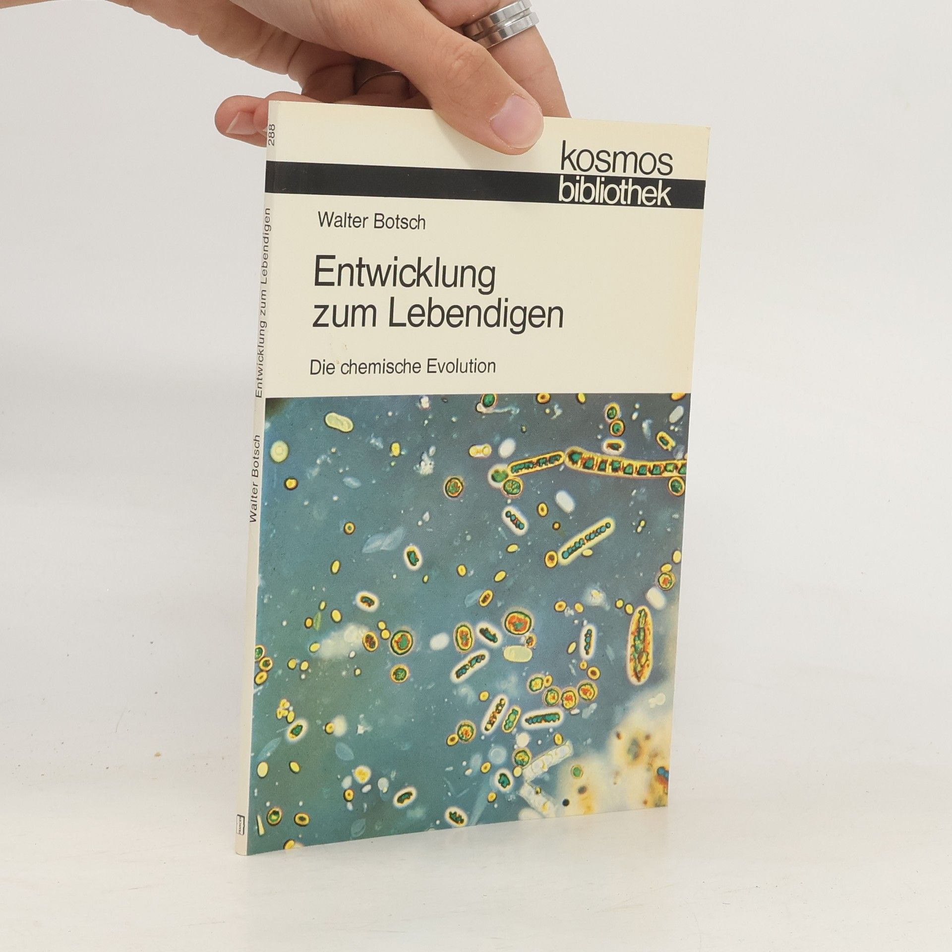 Walter Botsch Entwicklung zum Lebendigen