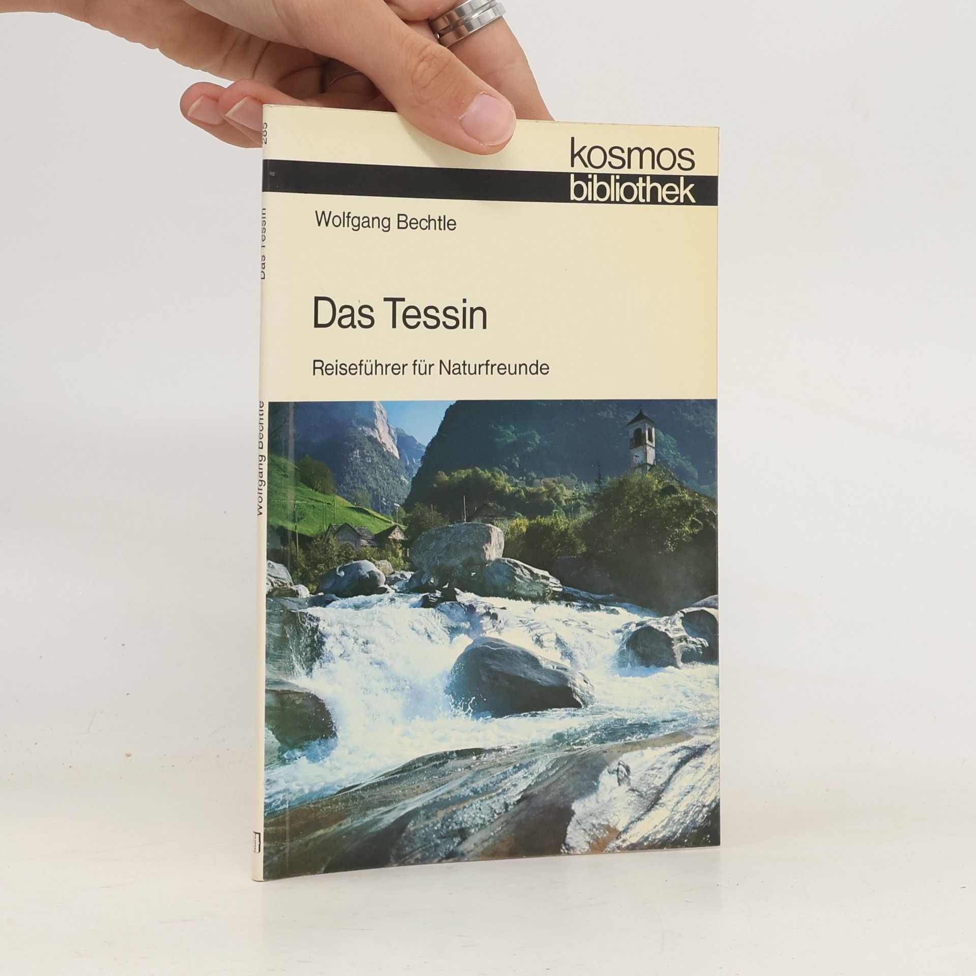Wolfgang Bechtle Das Tessin