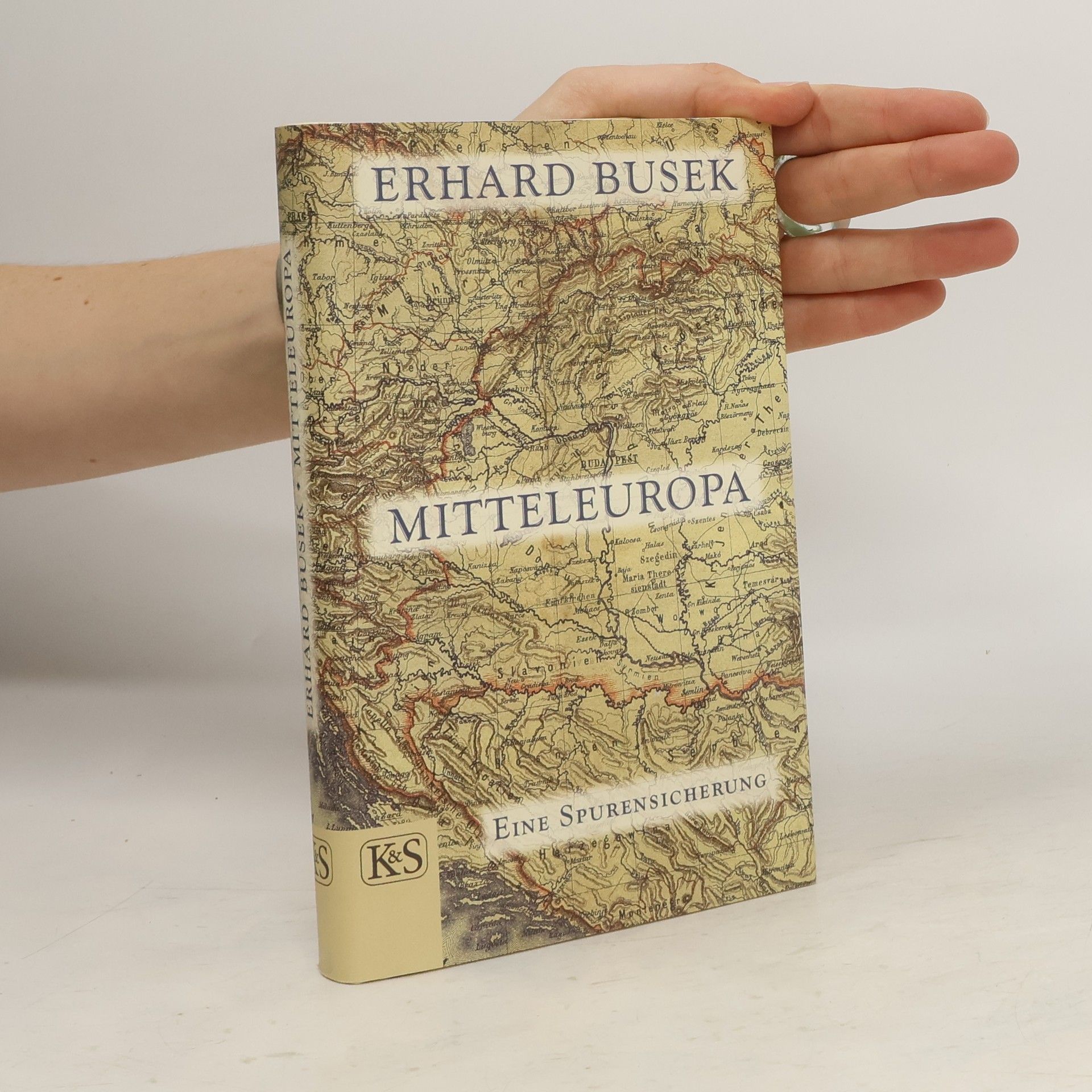 Erhard Busek Mitteleuropa
