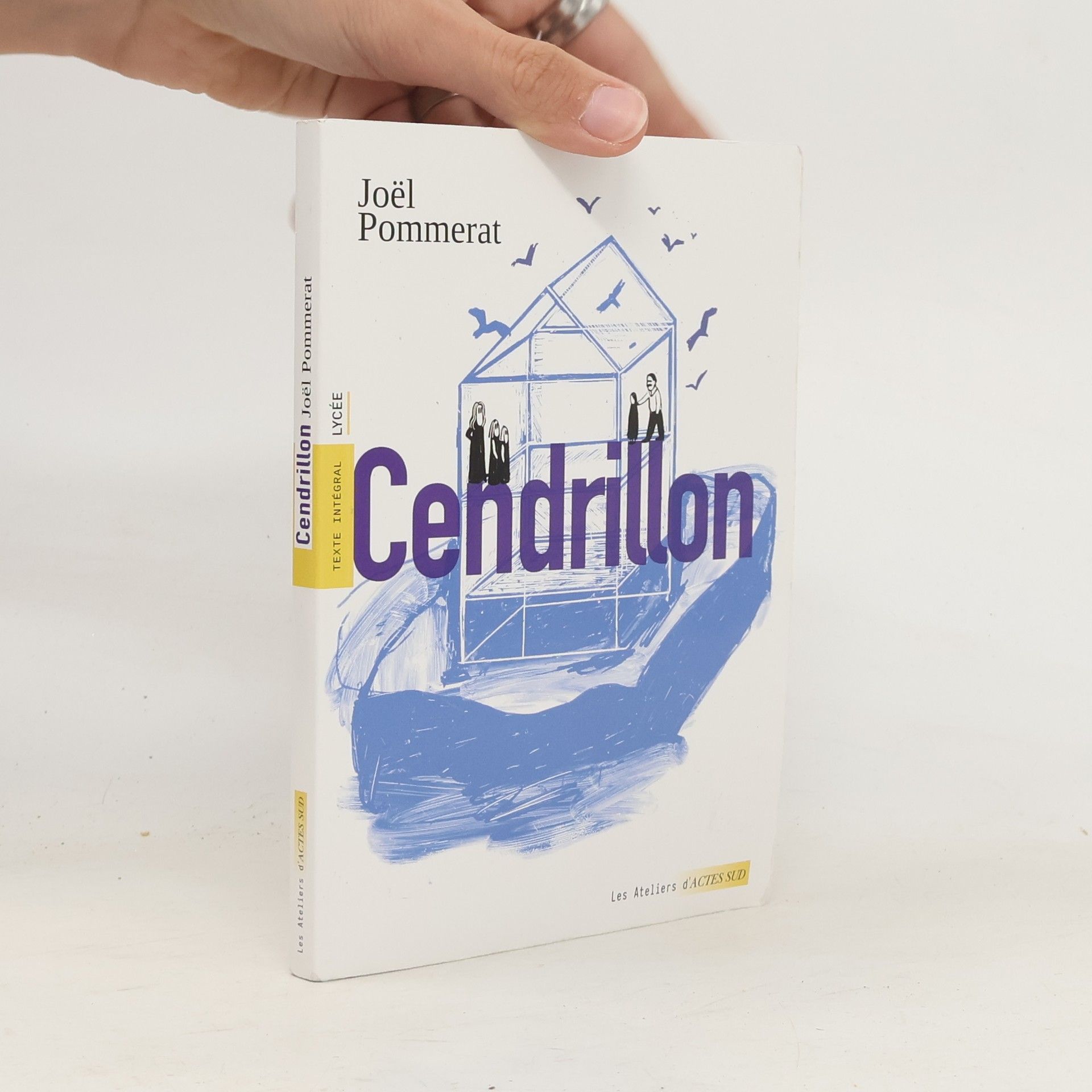 Joël Pommerat Cendrillon - Lycée - texte intégral