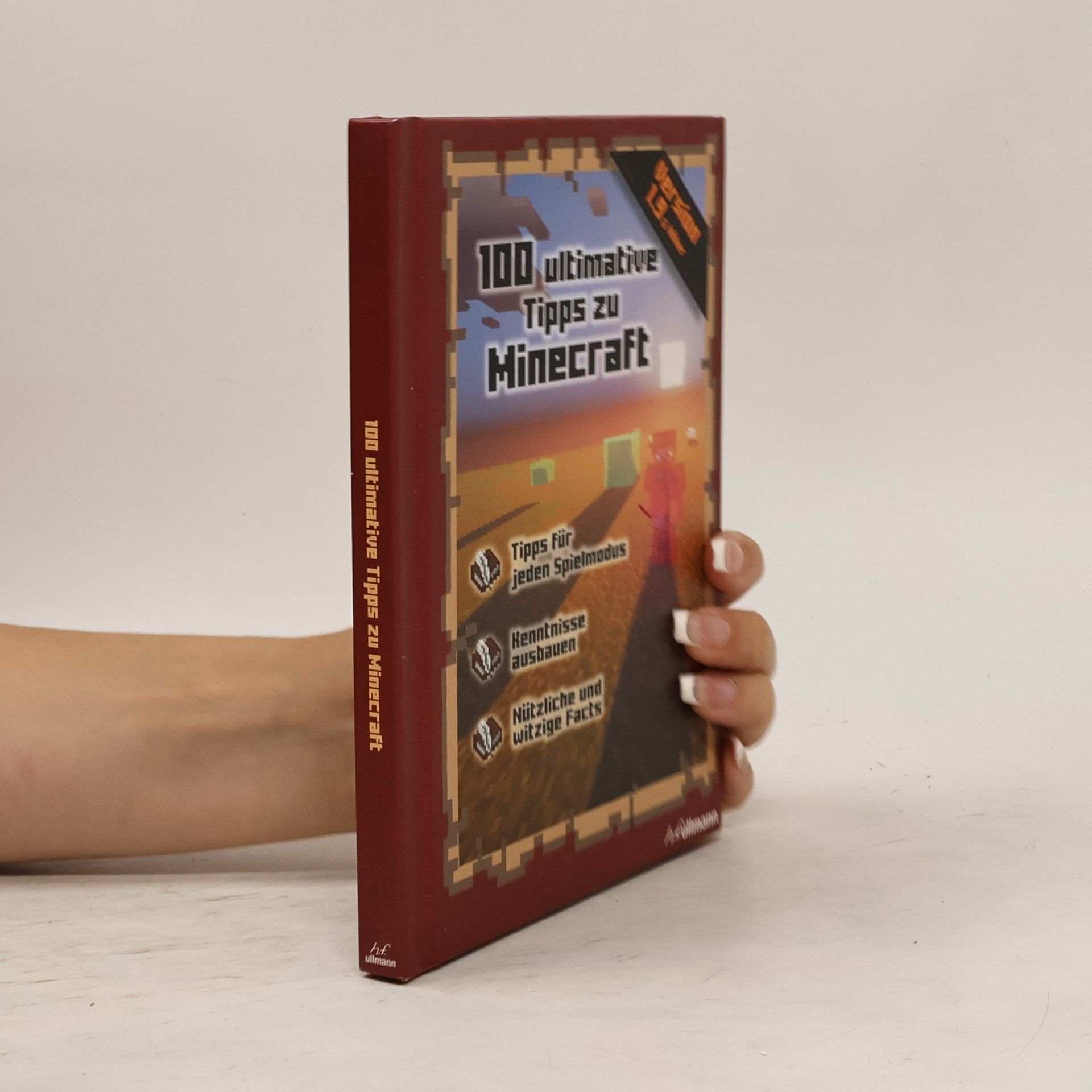 Stéphane Pilet 100 ultimative Tipps zu Minecraft