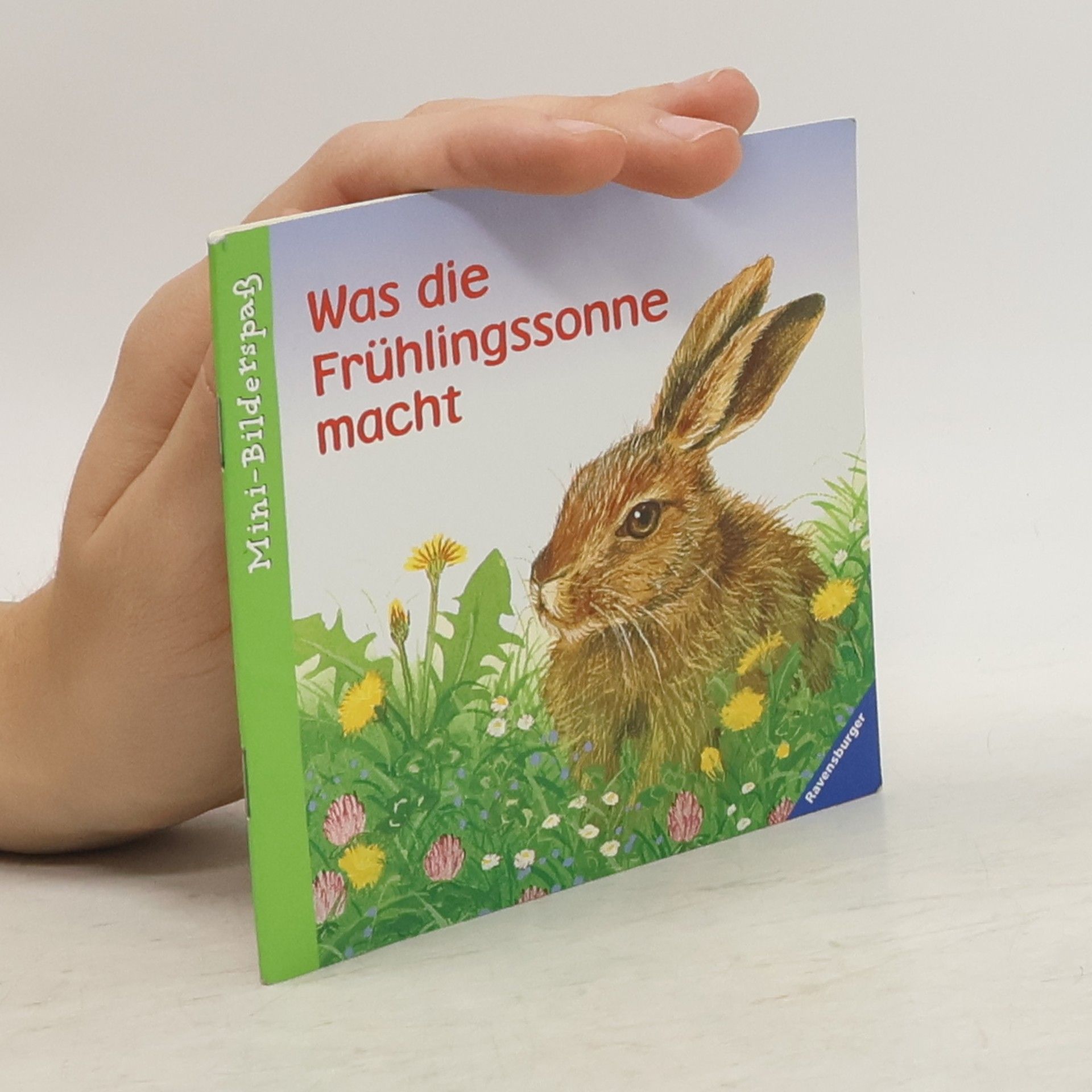 Karsten Teich Was die Frühlingssonne macht