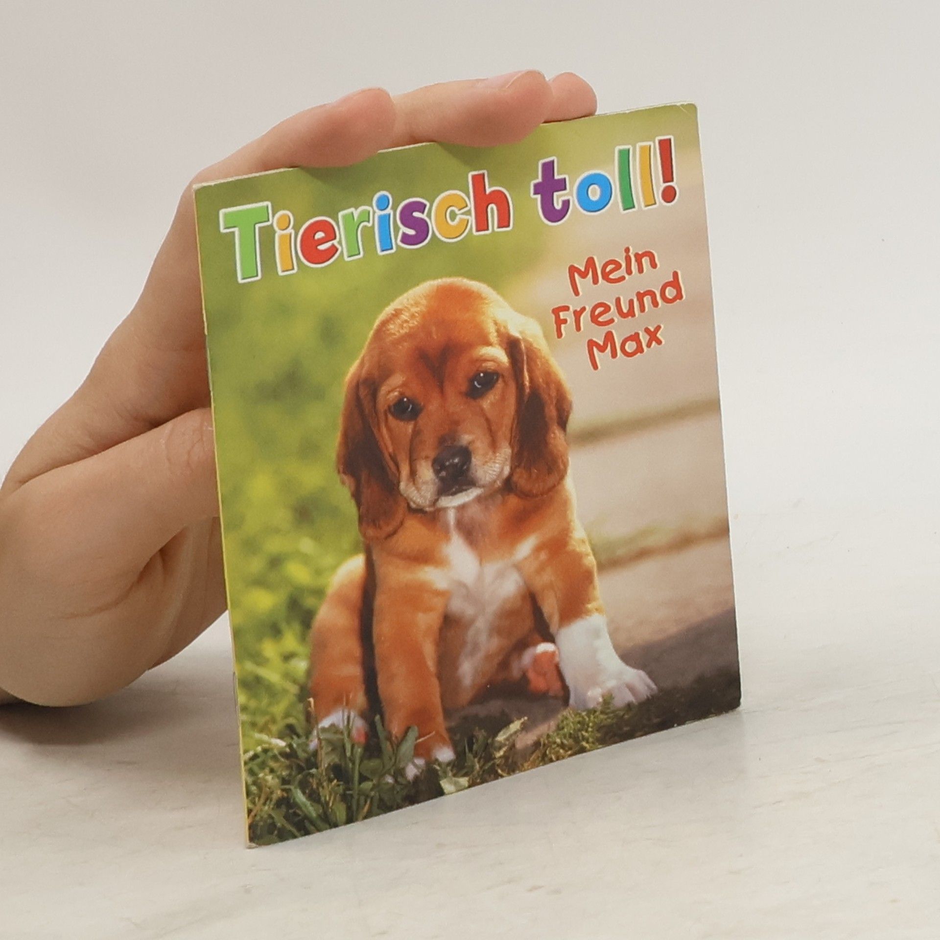 Kolektiv autorů Tierisch toll! Mein Freund Max