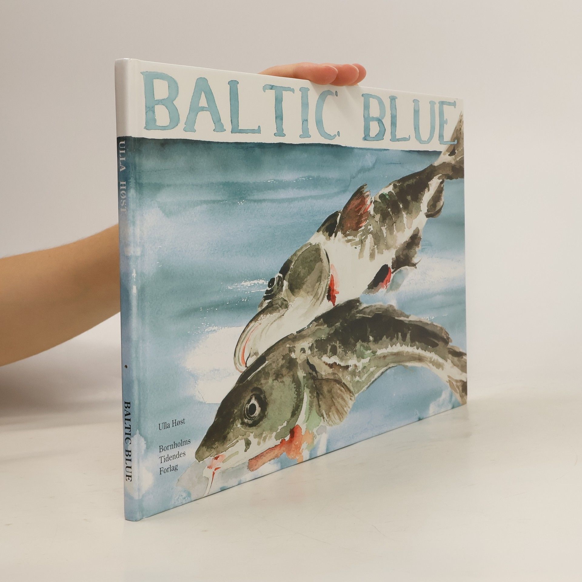 Autores varios Baltic Blue