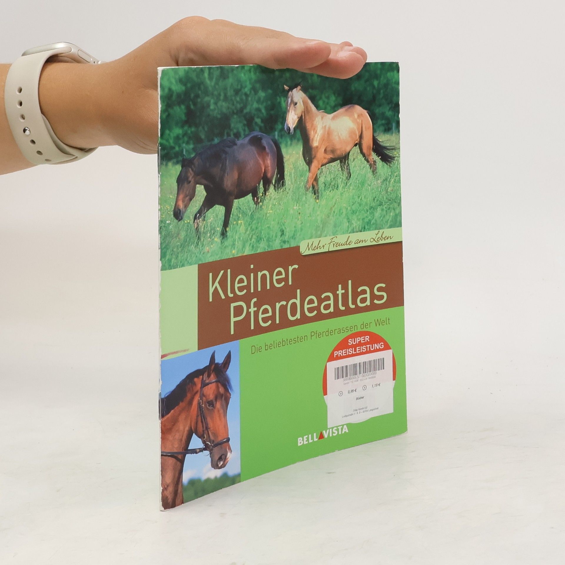 Autorenkollektiv Kleiner Pferdeatlas