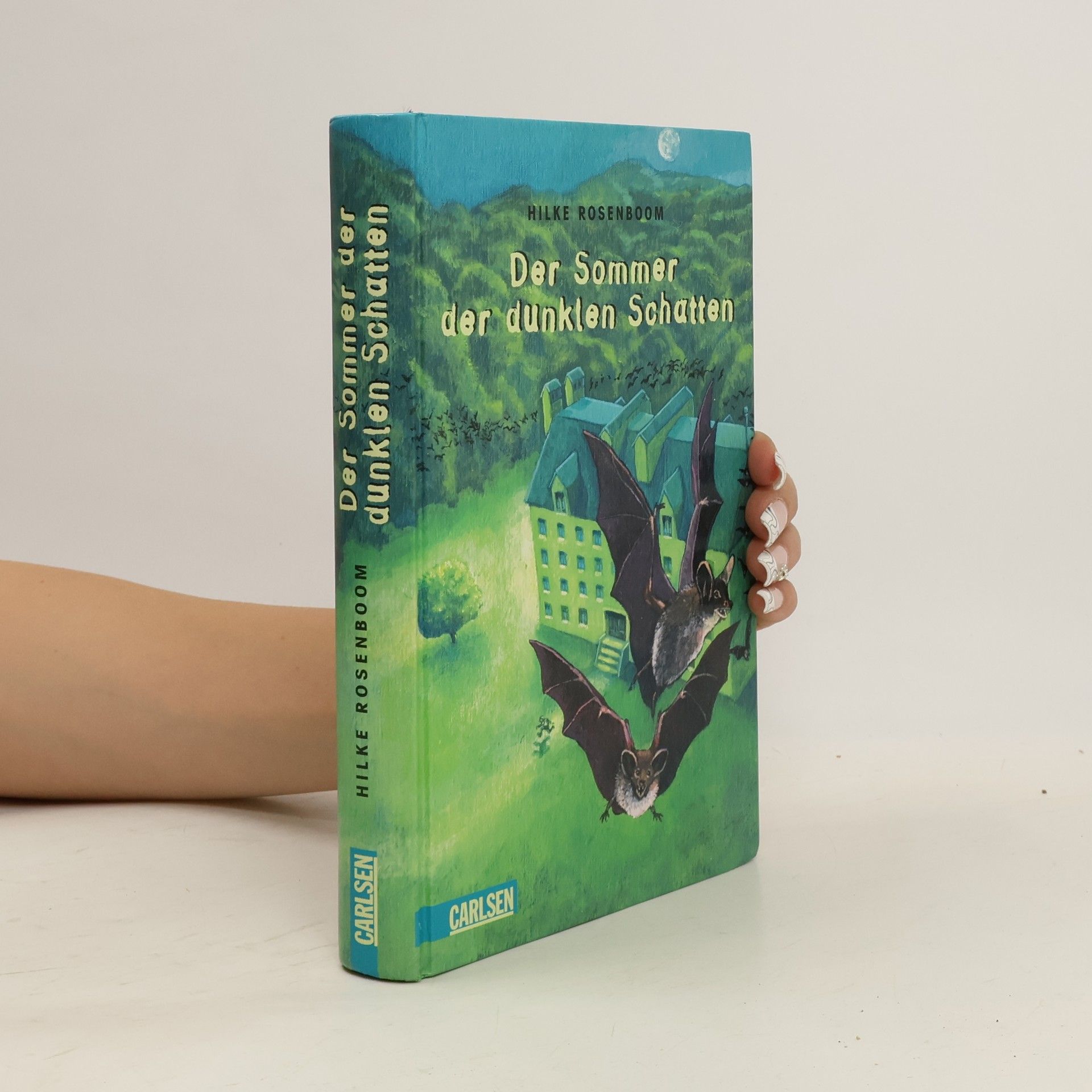 Hilke Rosenboom Der Sommer der dunklen Schatten