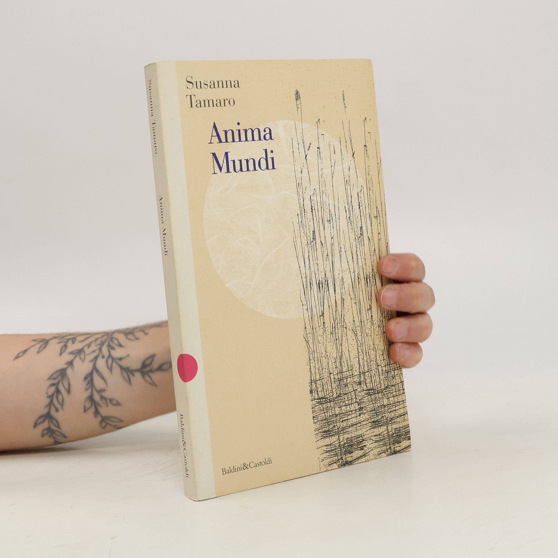 Susanna Tamarová Anima mundi