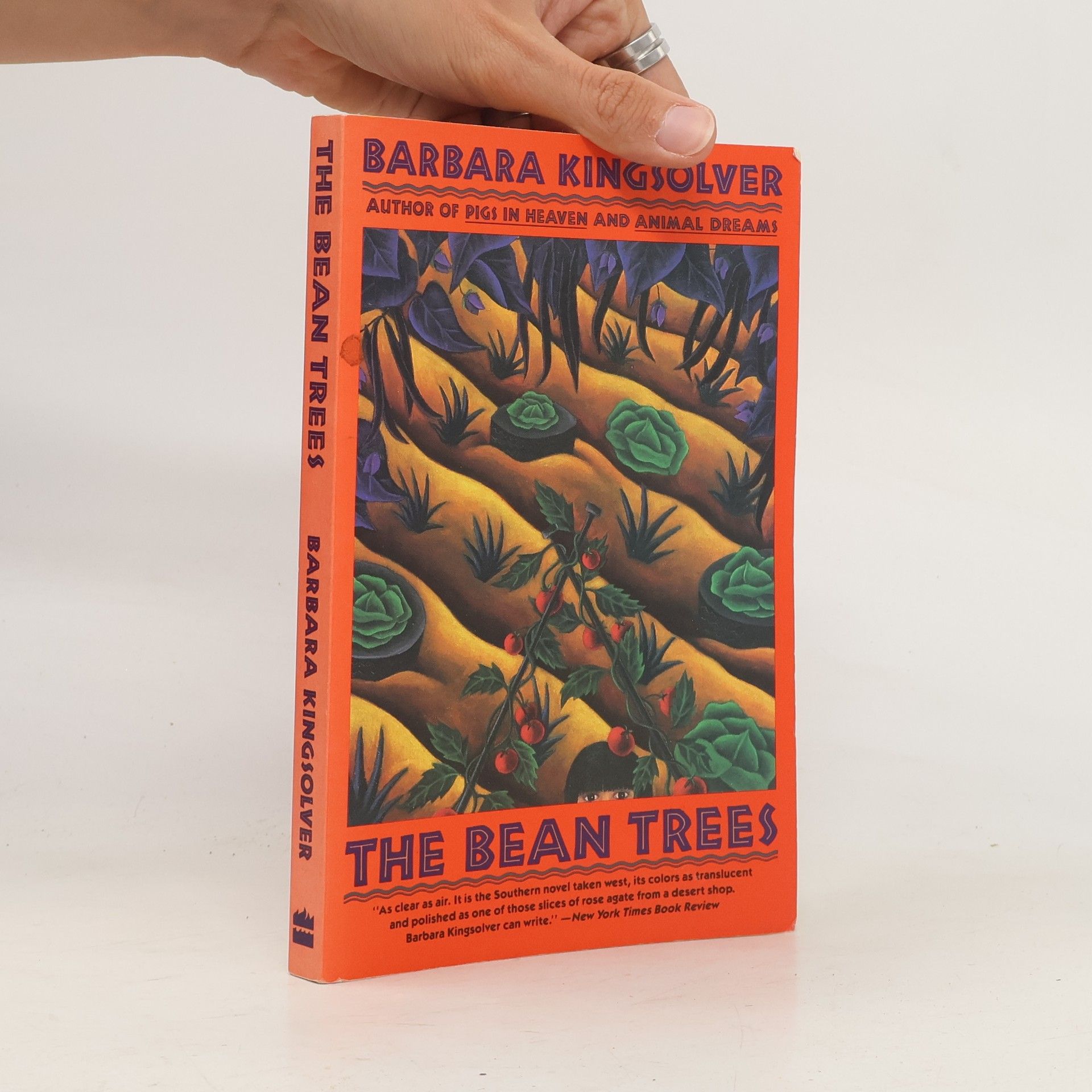 Barbara Kingsolver The Bean Trees