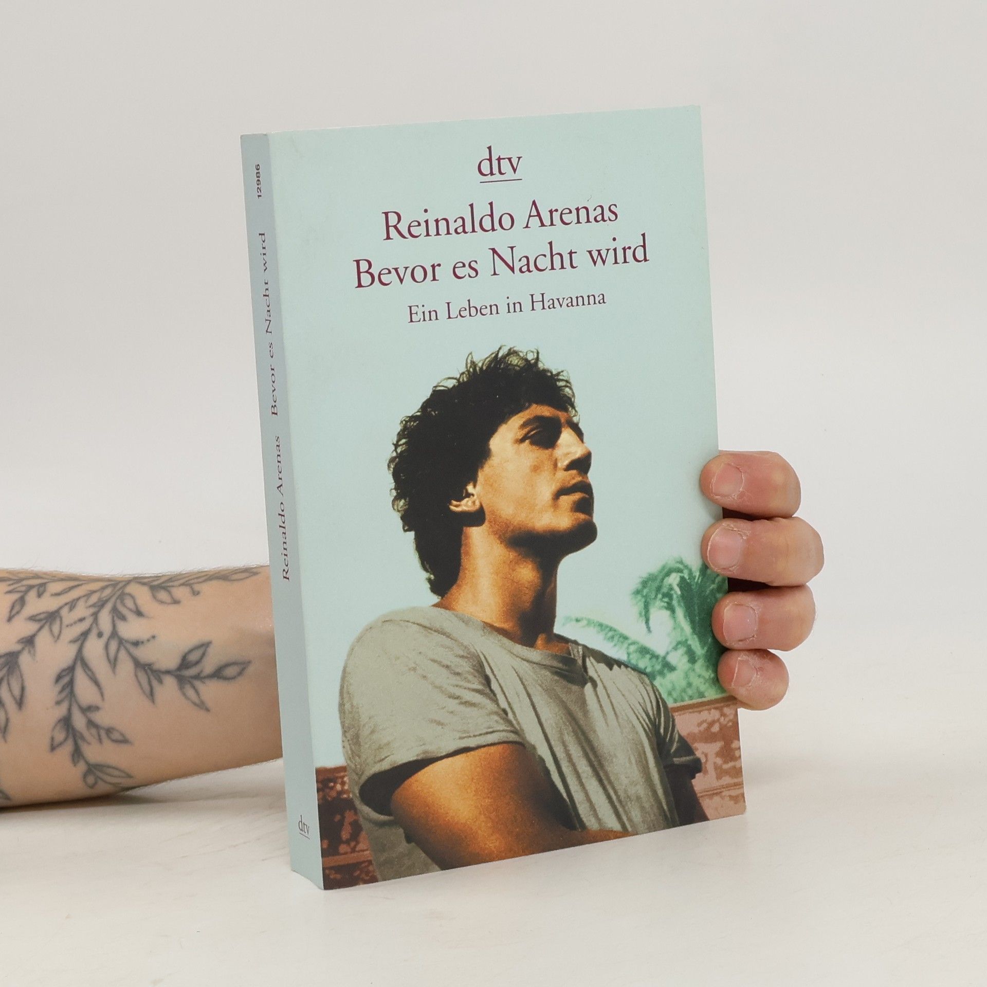 Reinaldo Arenas Bevor es Nacht wird