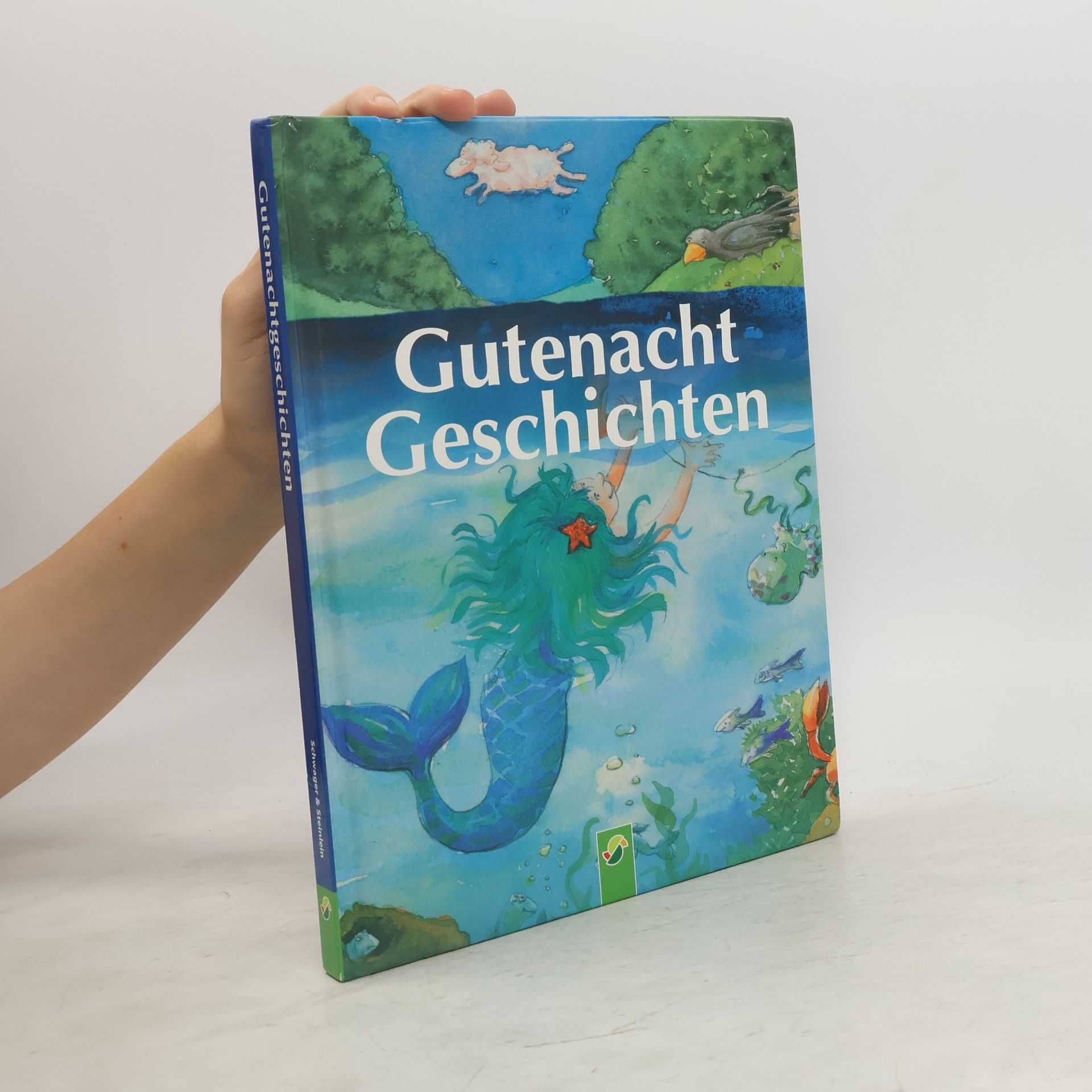 Friederike Großekettler Gutenacht-Geschichten