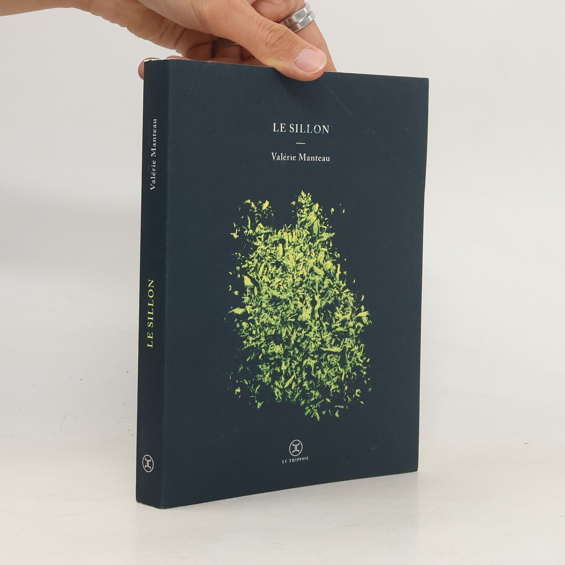 Valérie Manteau Le sillon