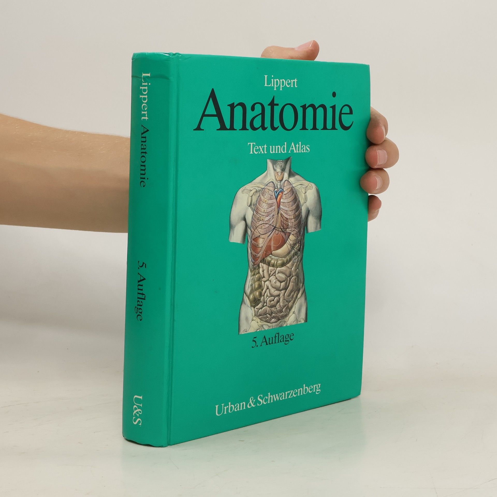 Herbert Lippert Anatomie
