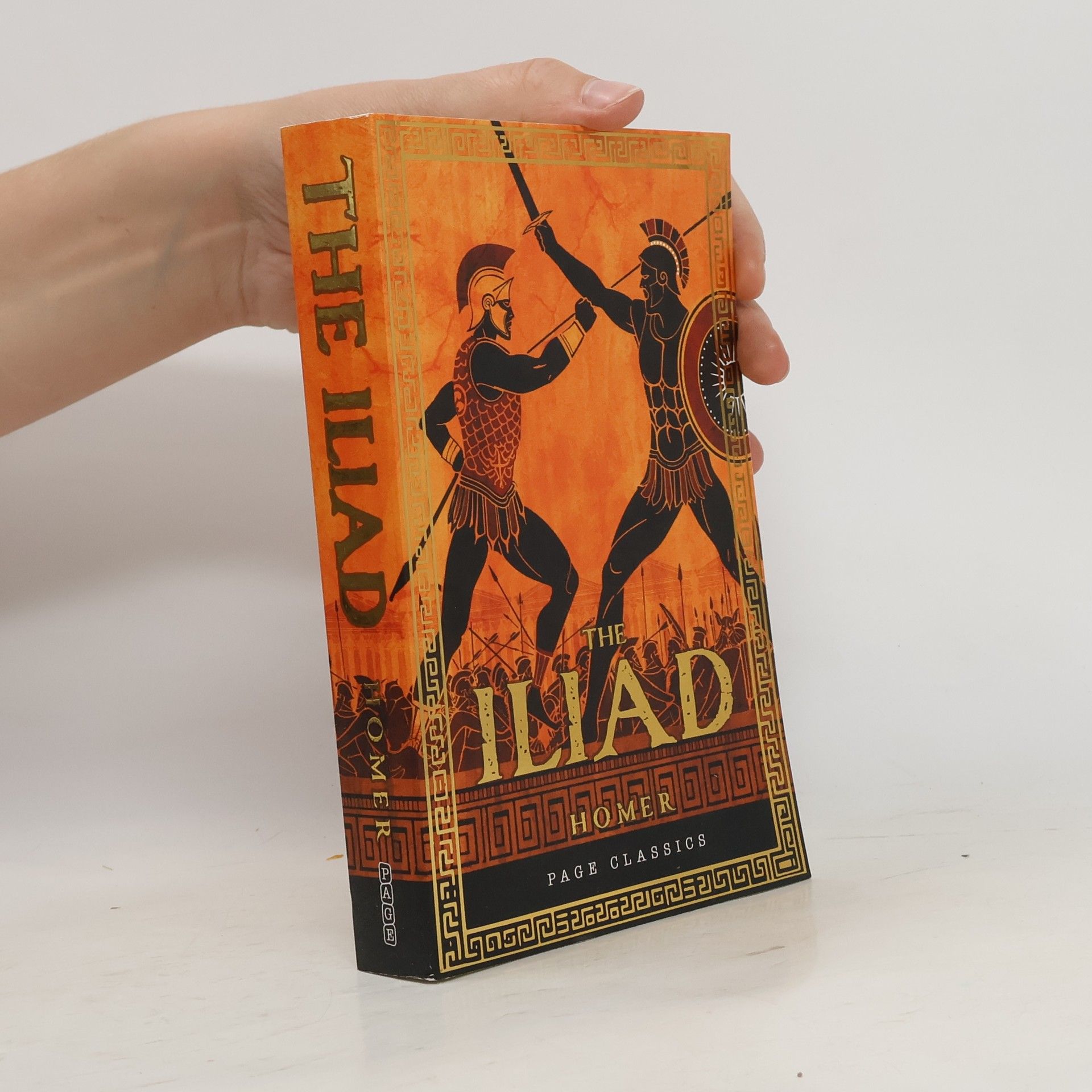 Homère Iliad