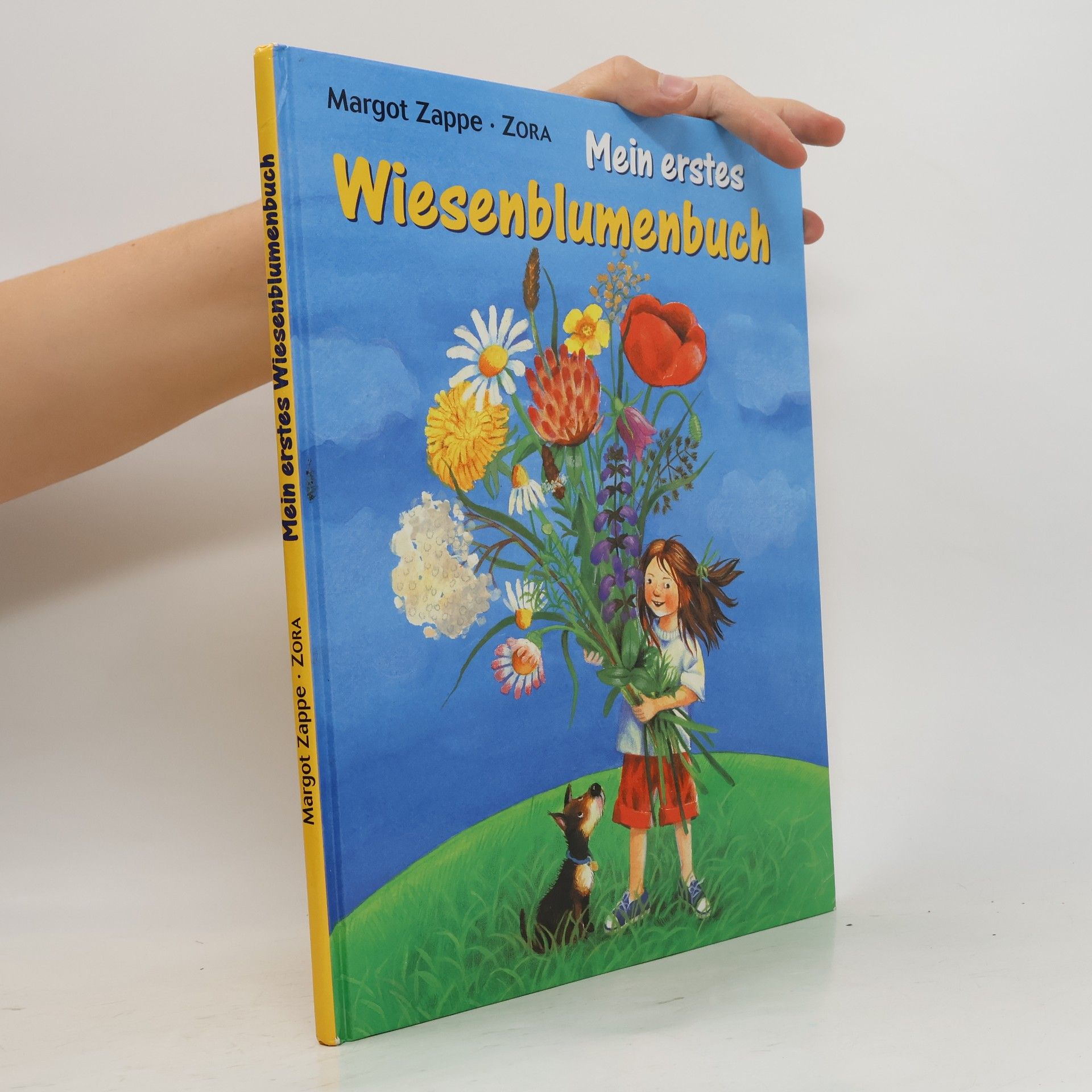 Margot Zappe Mein erstes Wiesenblumenbuch