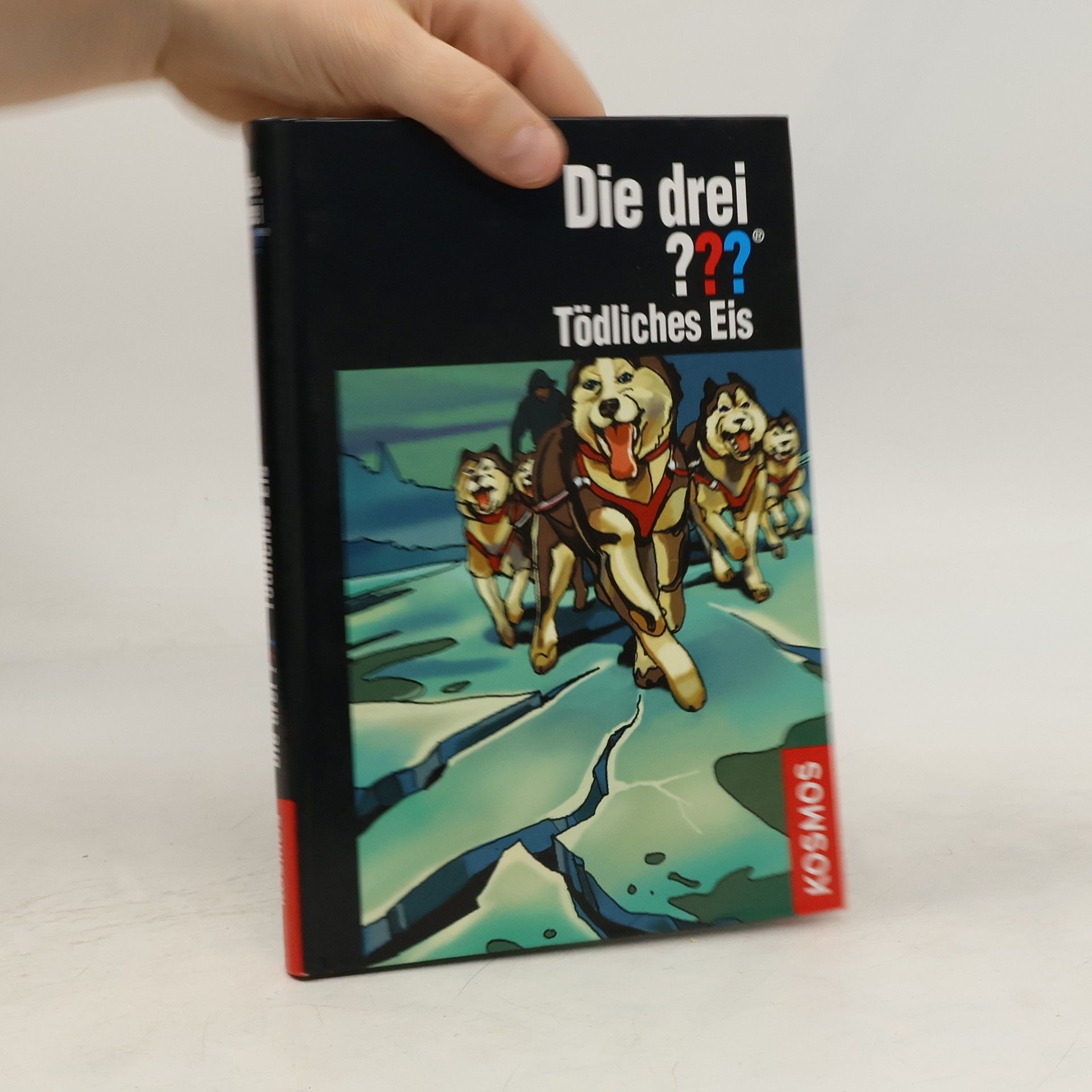 Kari Erlhoff Die drei ??? - tödliches Eis