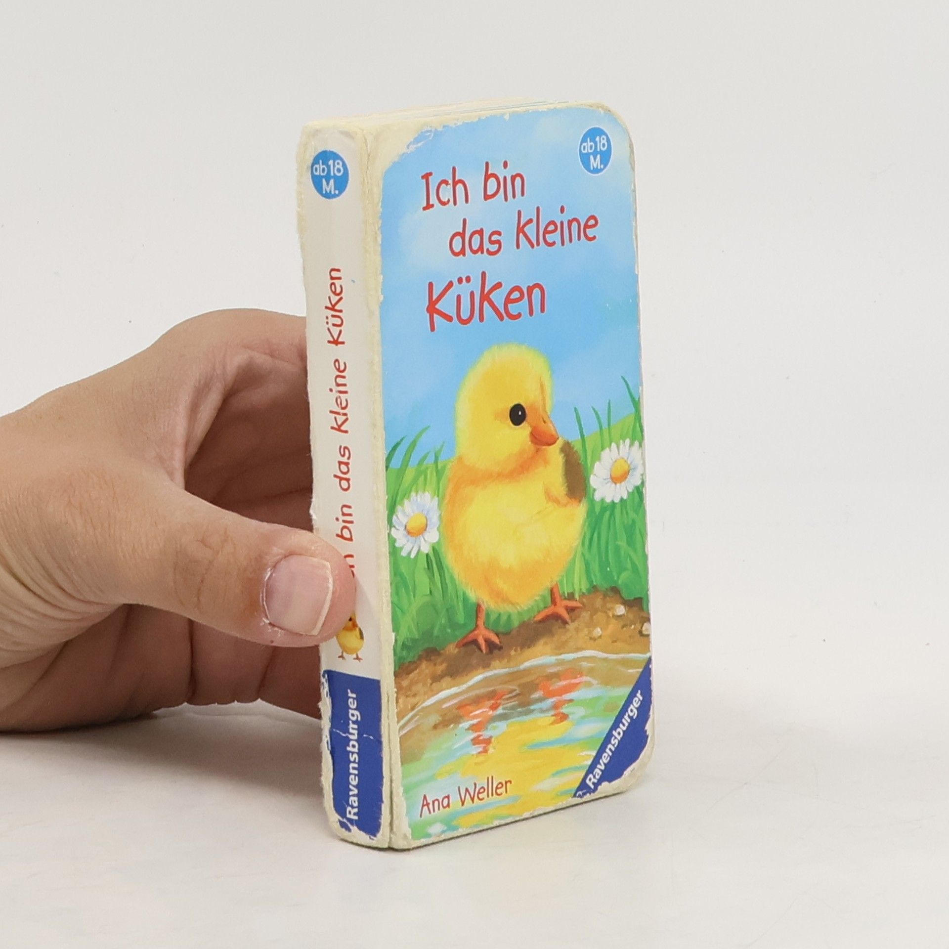 Ana Weller Ich bin das kleine Küken