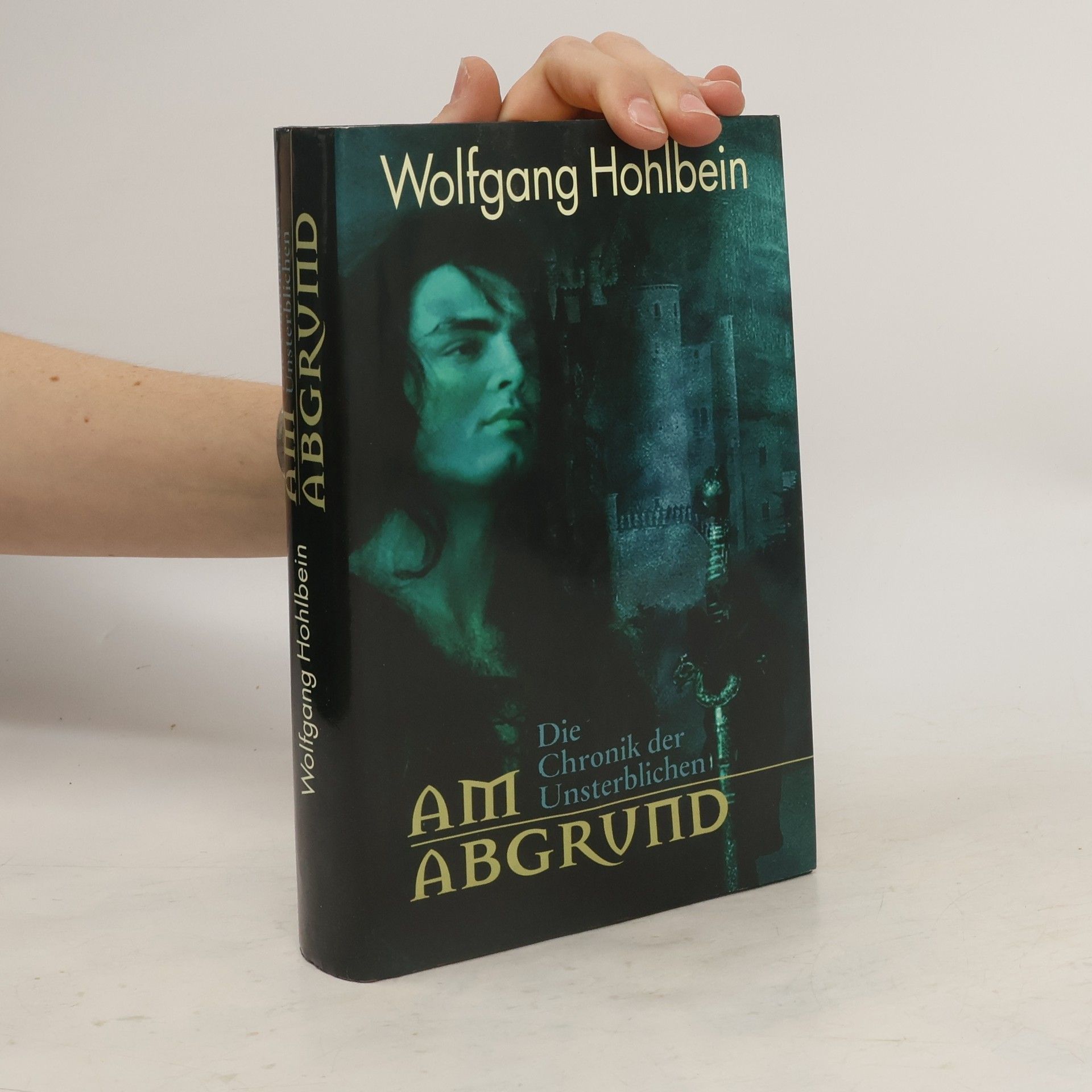 Wolfgang Hohlbein Am Abgrund