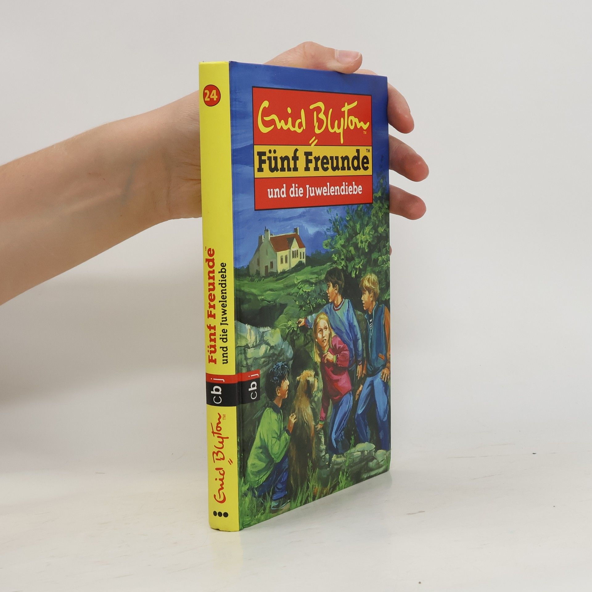 Enid Blyton Fünf Freunde und die geheimnisvolle Schatztruhe