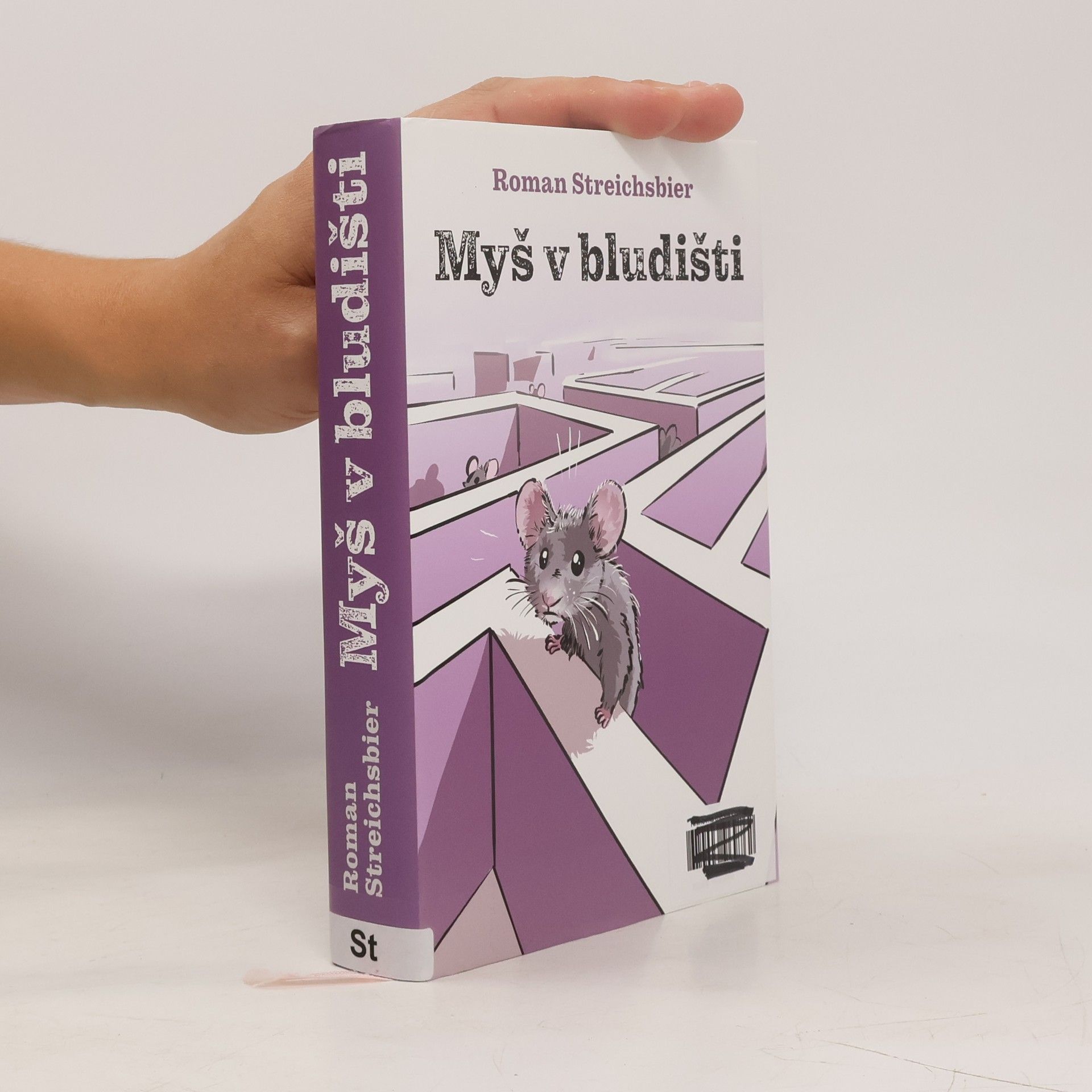 Roman Streichsbier Myš v bludišti