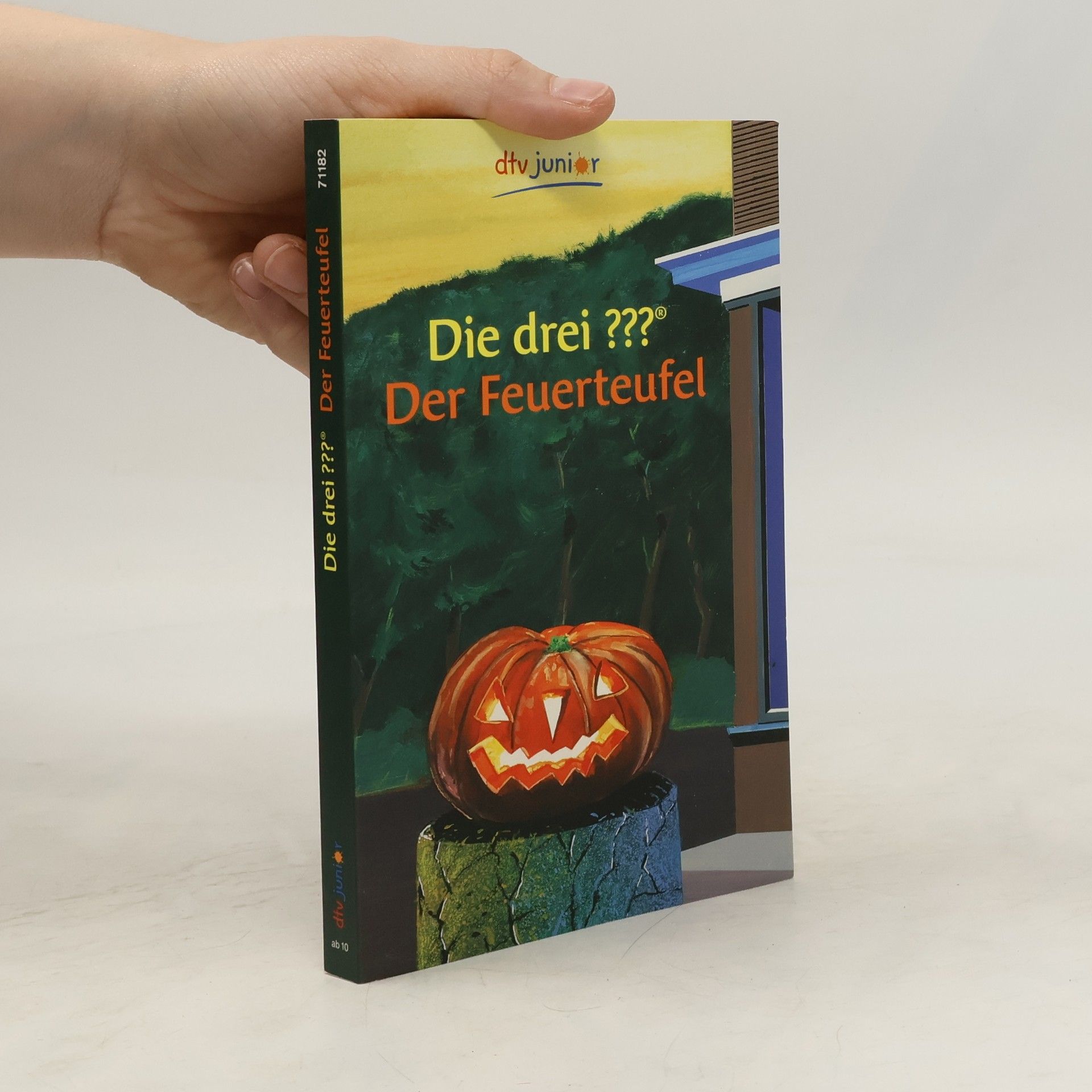 André Marx Die drei??? Der Feuerteufel