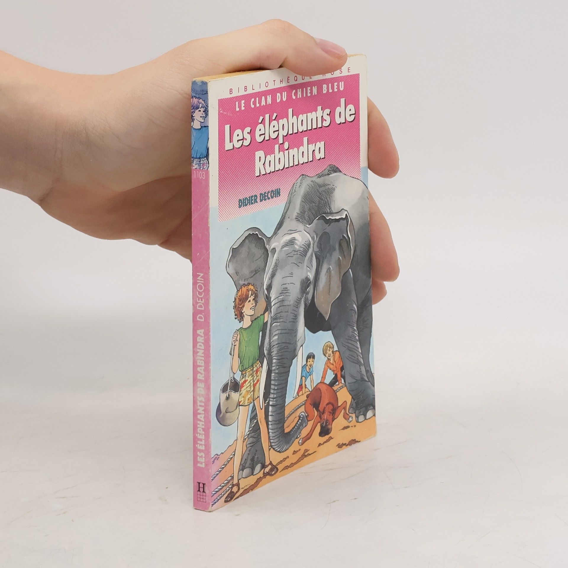 Didier Decoin Les éléphants de Rabindra