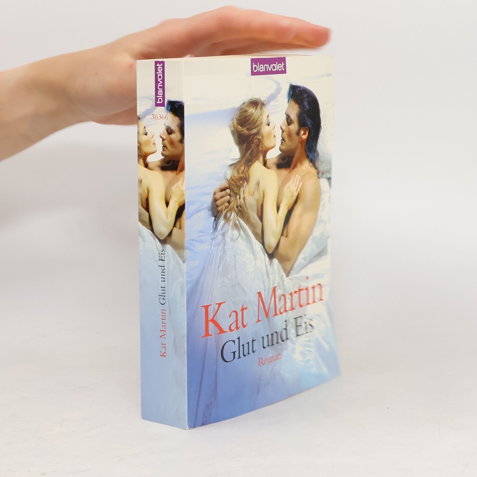 Kat Martin Glut und Eis. Roman