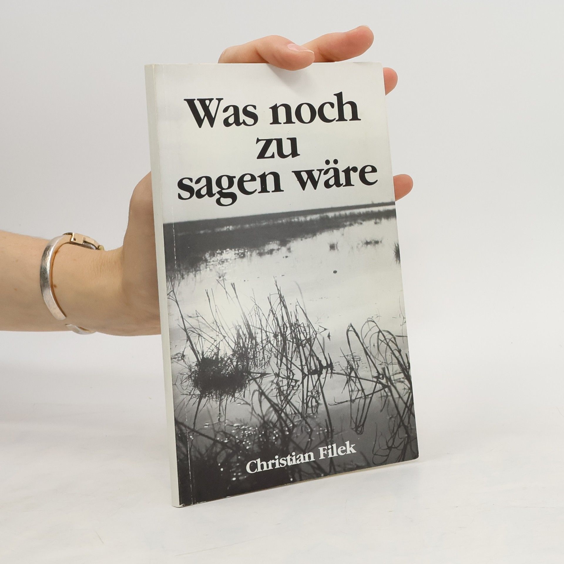 Christian Filek Was noch zu sagen wäre